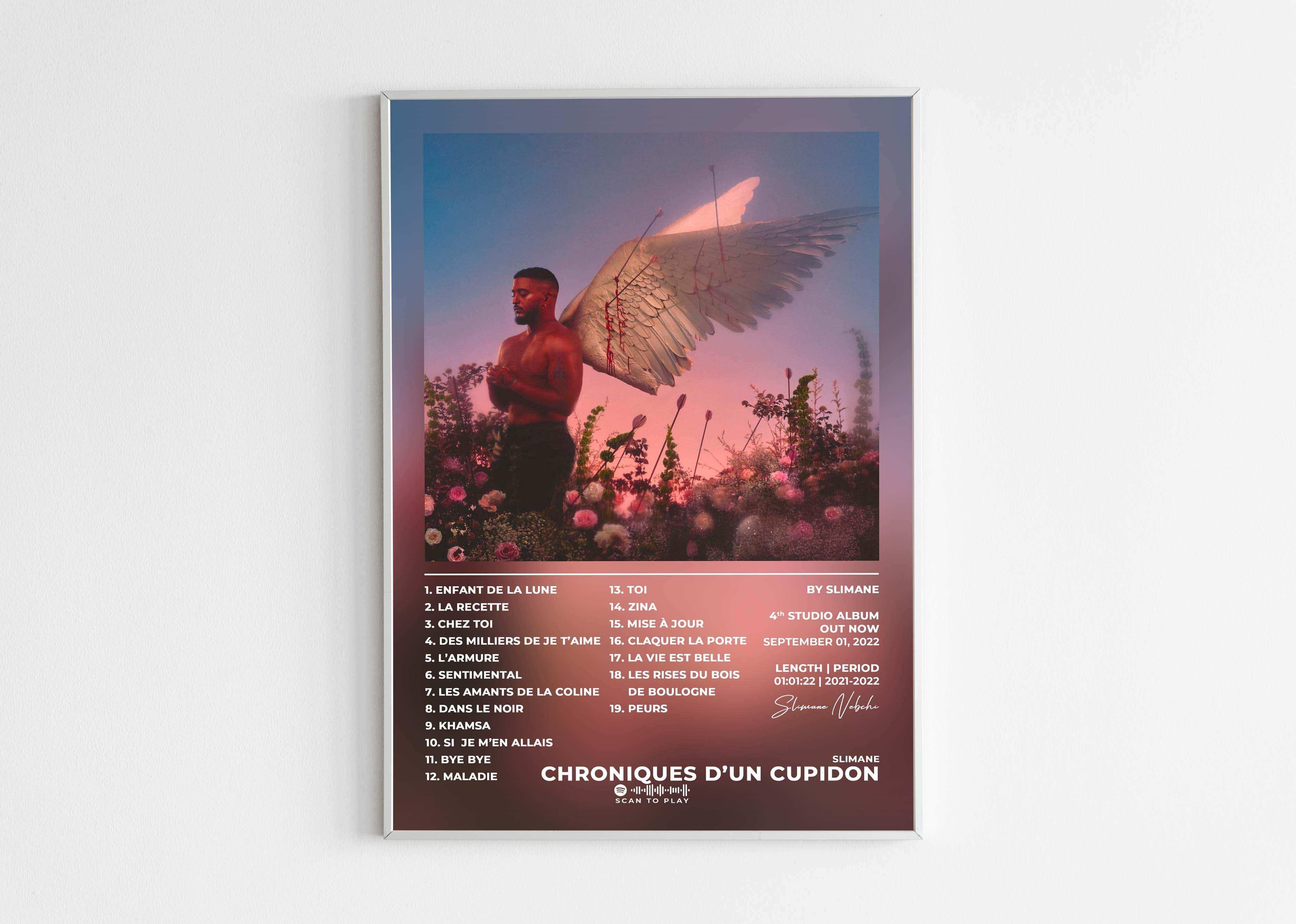 Chroniques D'Un Cupidon Slimane Poster - Backyard