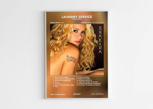 Poster Laundry Service Shakira