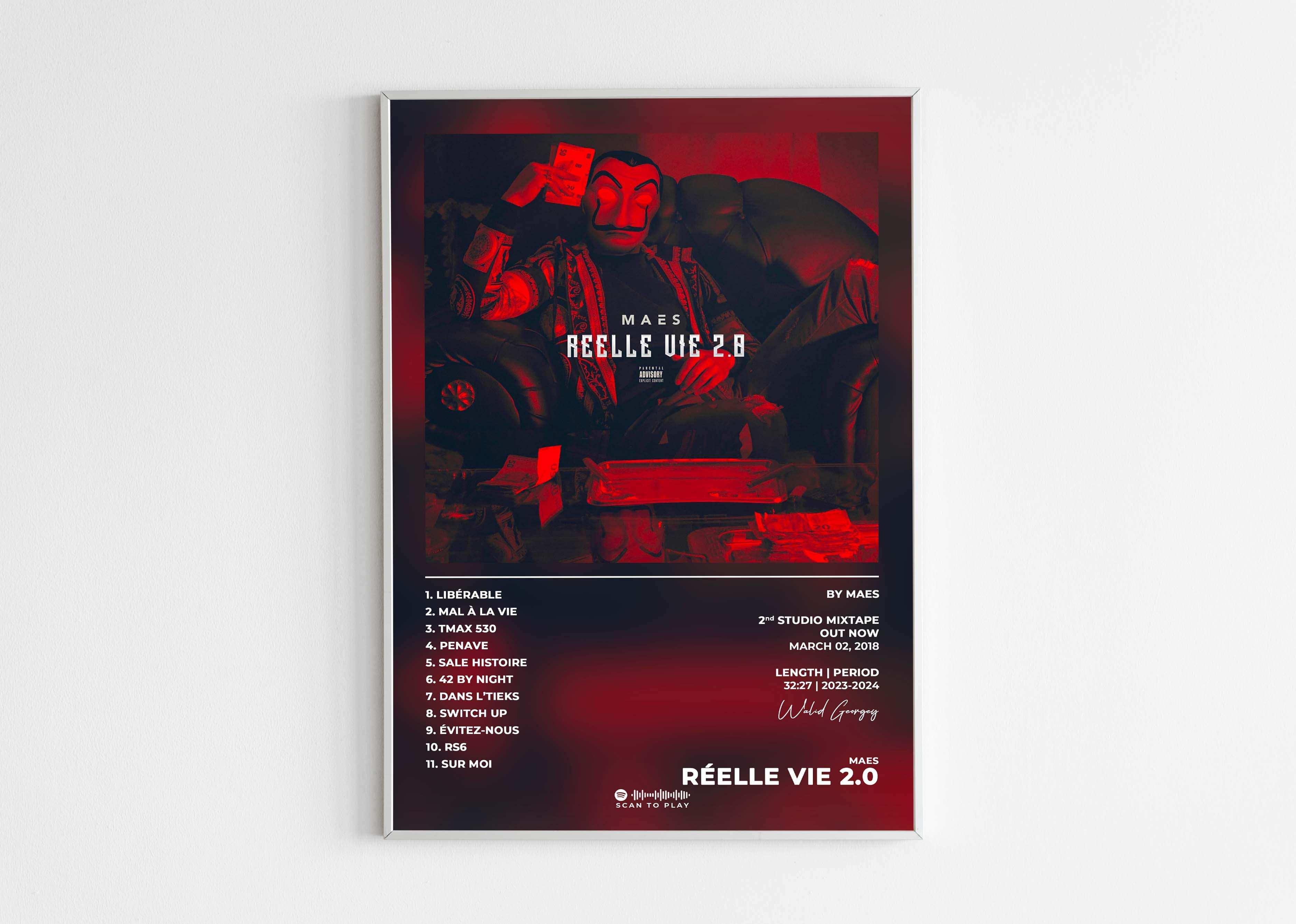 Réelle Vie 2.0 Maes Poster - Backyard