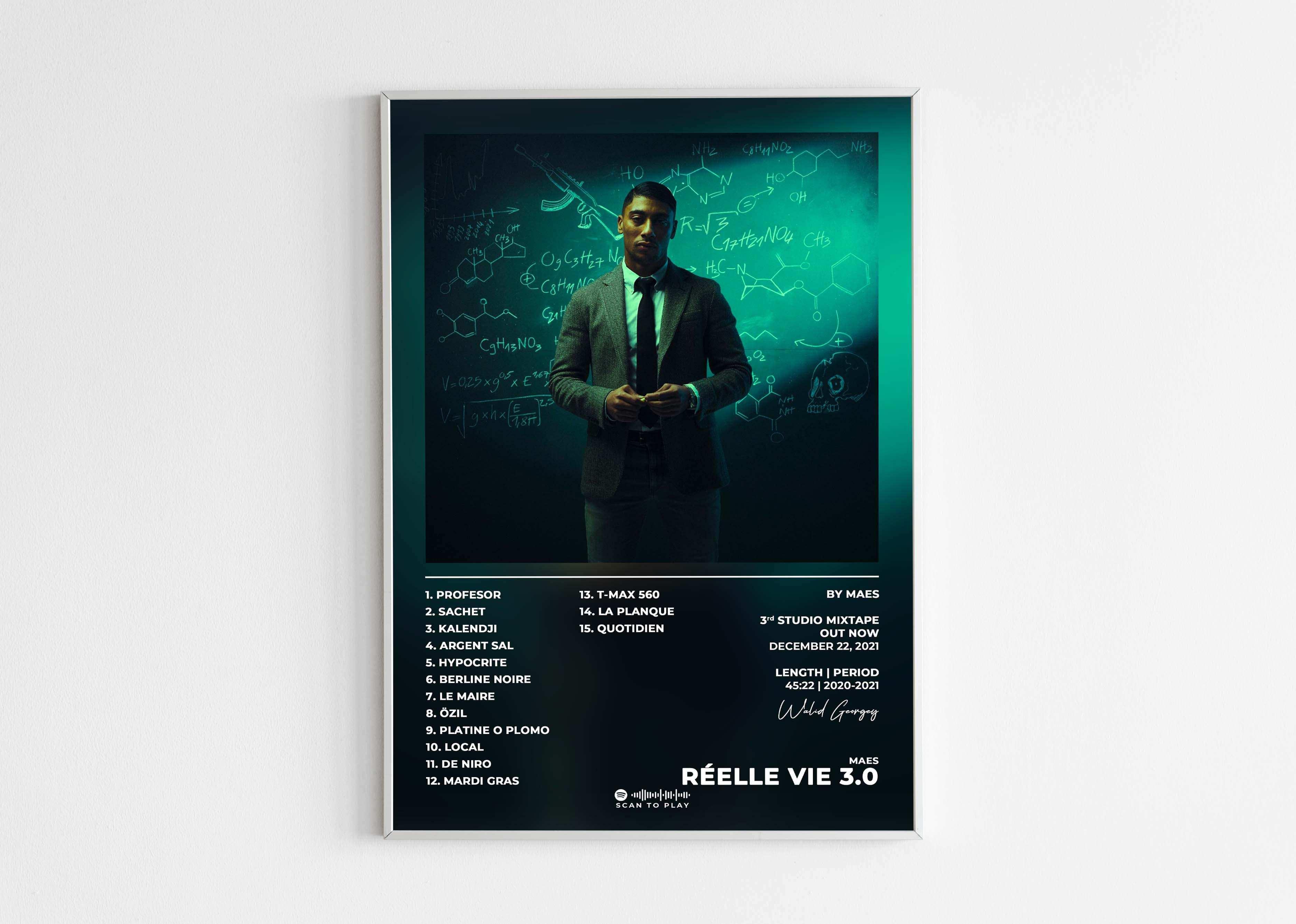 Réelle Vie 3.0 Maes Poster - Backyard