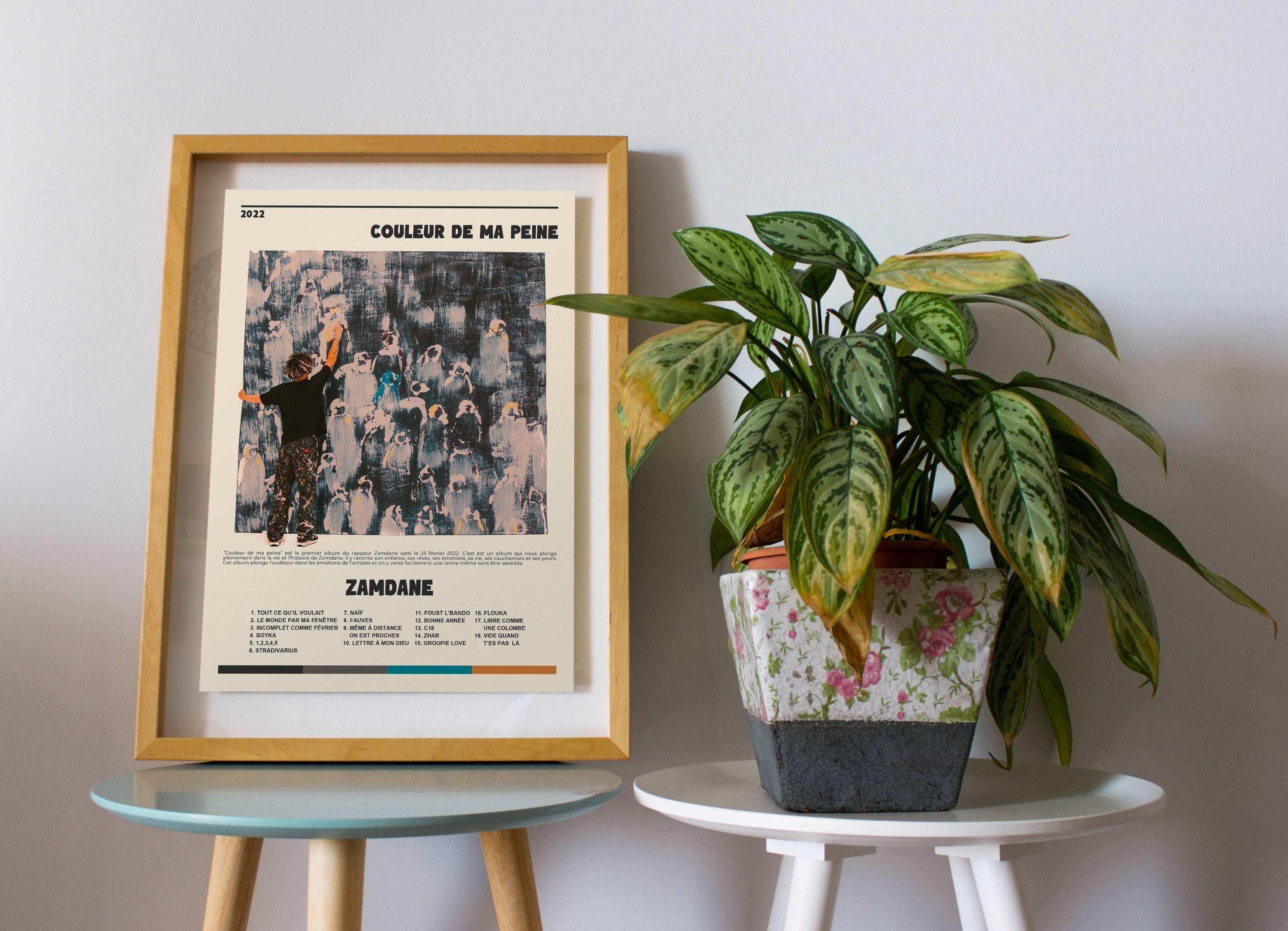 Affiche encadrée Zamdane posée sur une table avec plante, fait en France, livraison 48h gratuite, cadeau idéal pour Noël