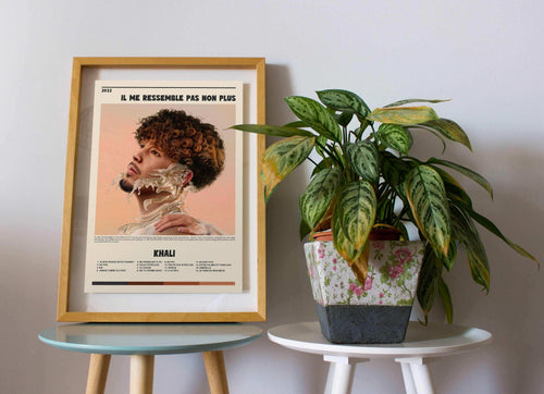 Il Me Ressemble Pas Non Plus Khali Poster - Backyard
