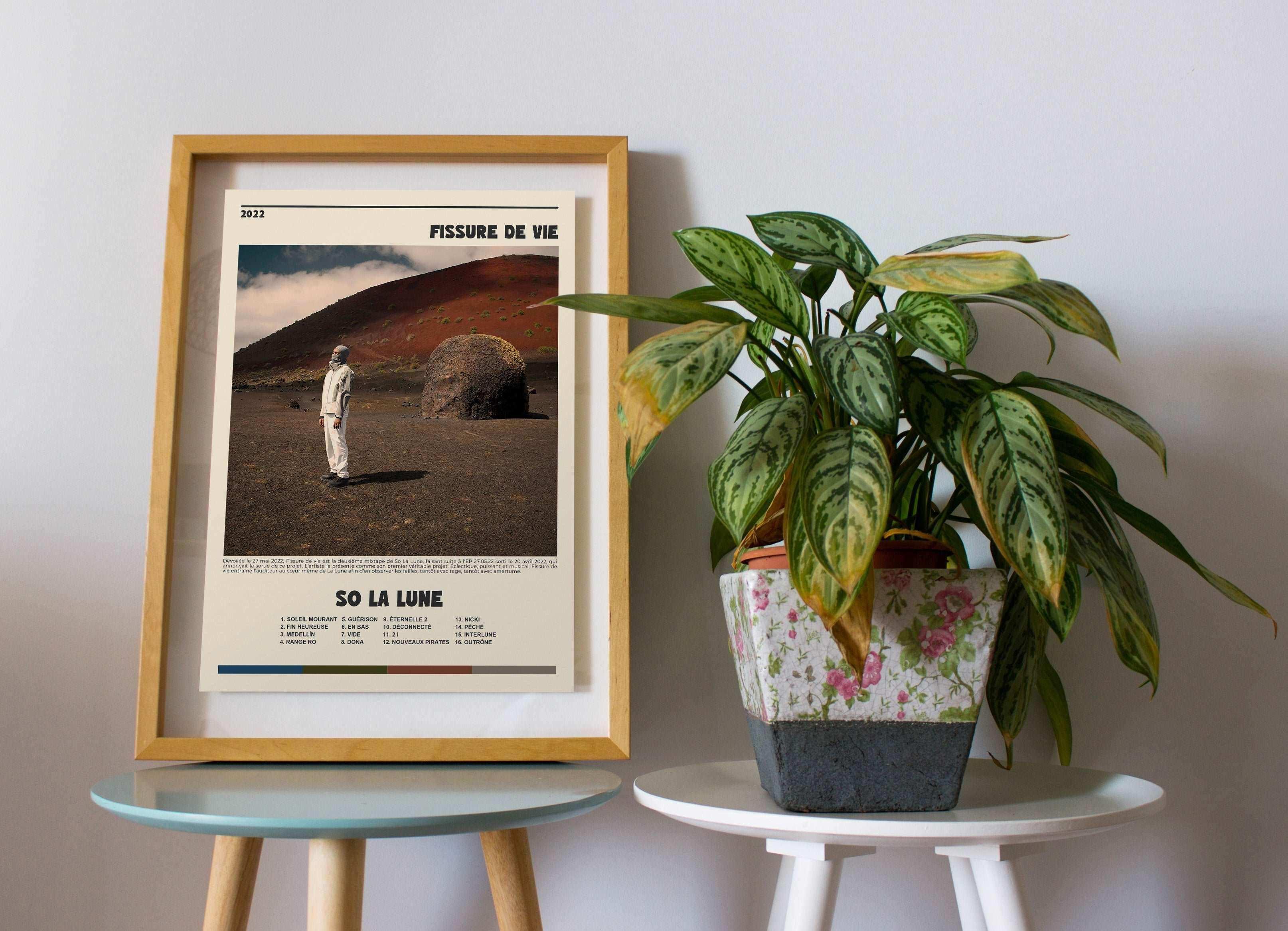 Affiche encadrée d'un homme debout sur une plaine avec plante, faite en France, livraison 48h offerte, idée cadeau Noël