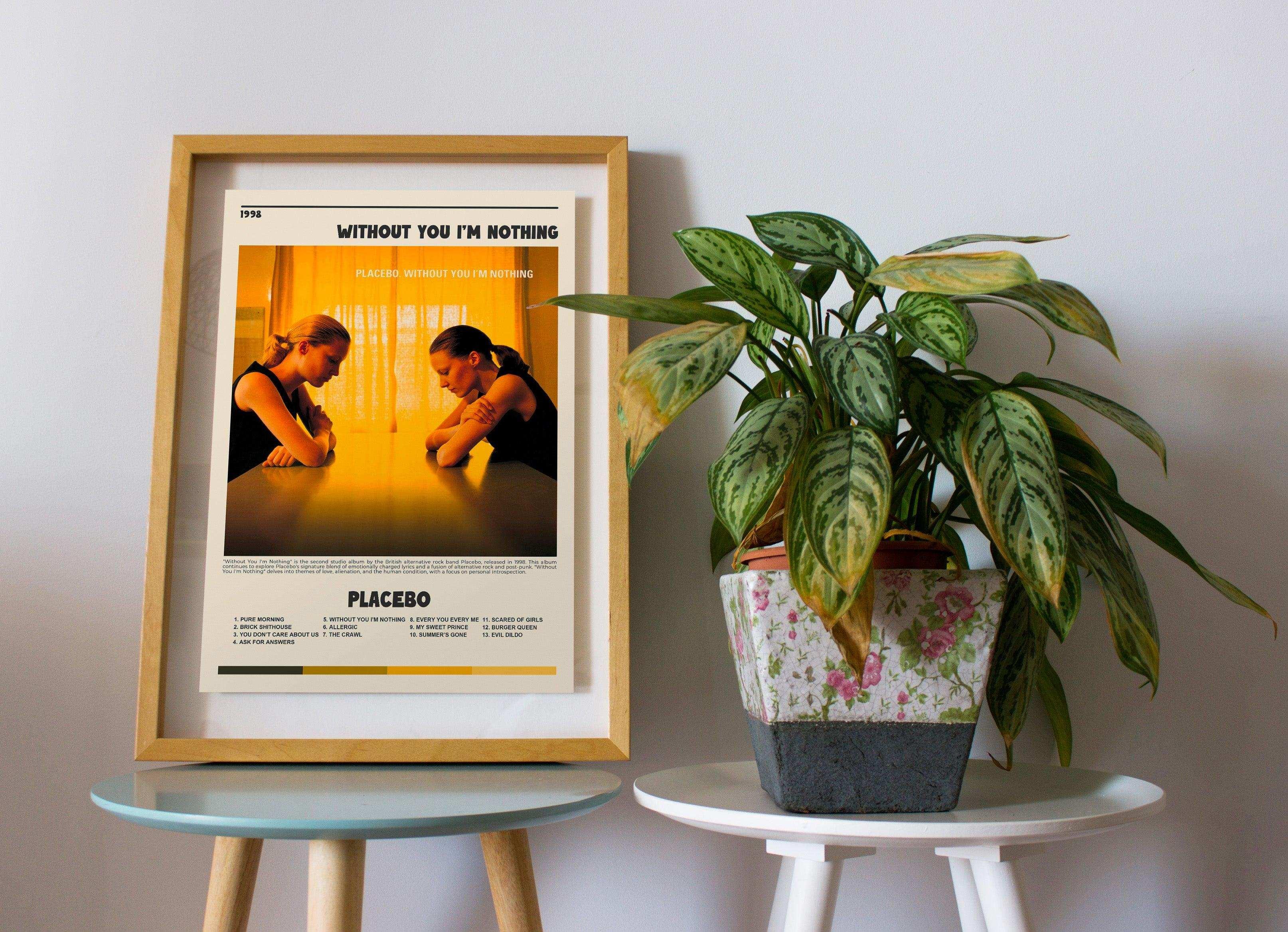 Affiche encadrée Placebo près d'une plante verte, fait en France, livraison 48h, cadeau idéal Noël