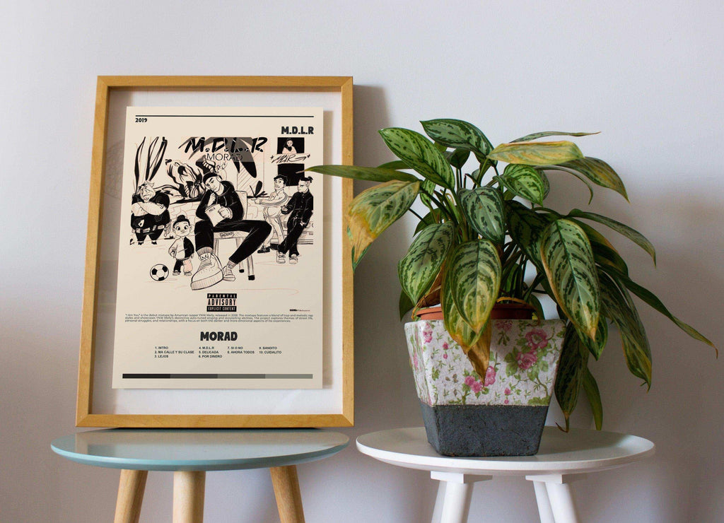 Affiche encadrée Morad posée sur une table, plante verte à côté, fait en France, livraison gratuite 48h, cadeau idéal pour Noël