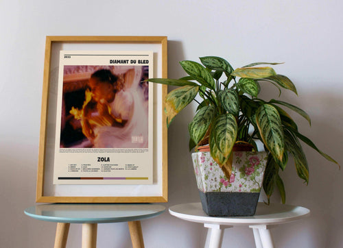 Affiche Diamant du Bled encadrée à côté d'une plante, fait en France, livraison 48h gratuite, cadeau idéal pour Noël