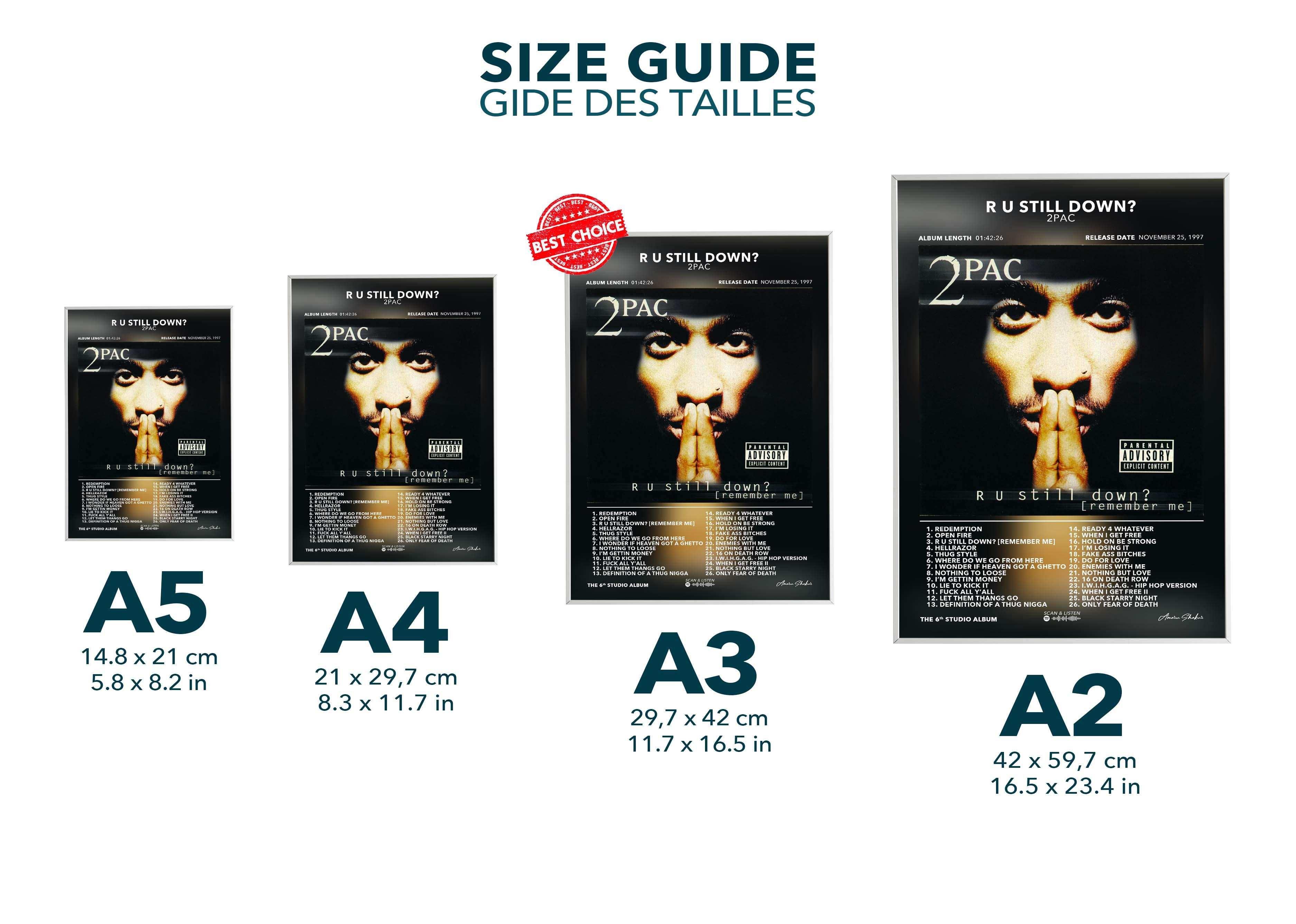 Poster R U Still Down? 2Pac - Backyard