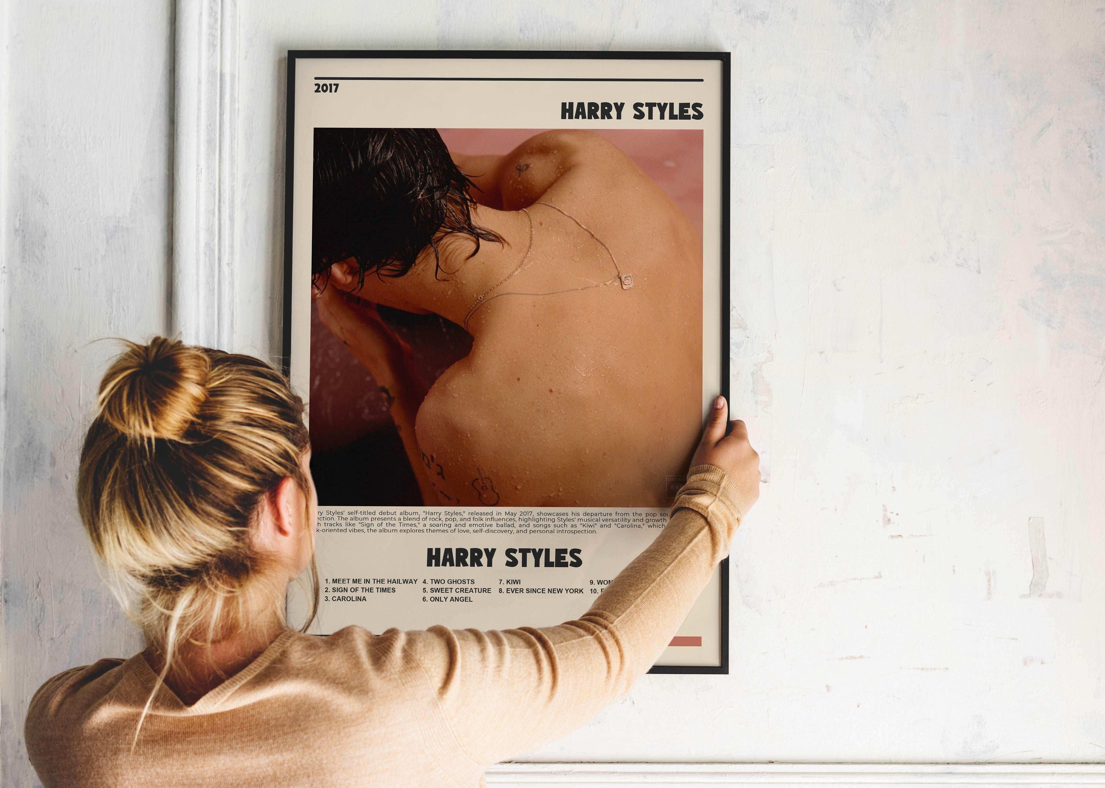 Harry Styles Harry Styles Poster - Backyard