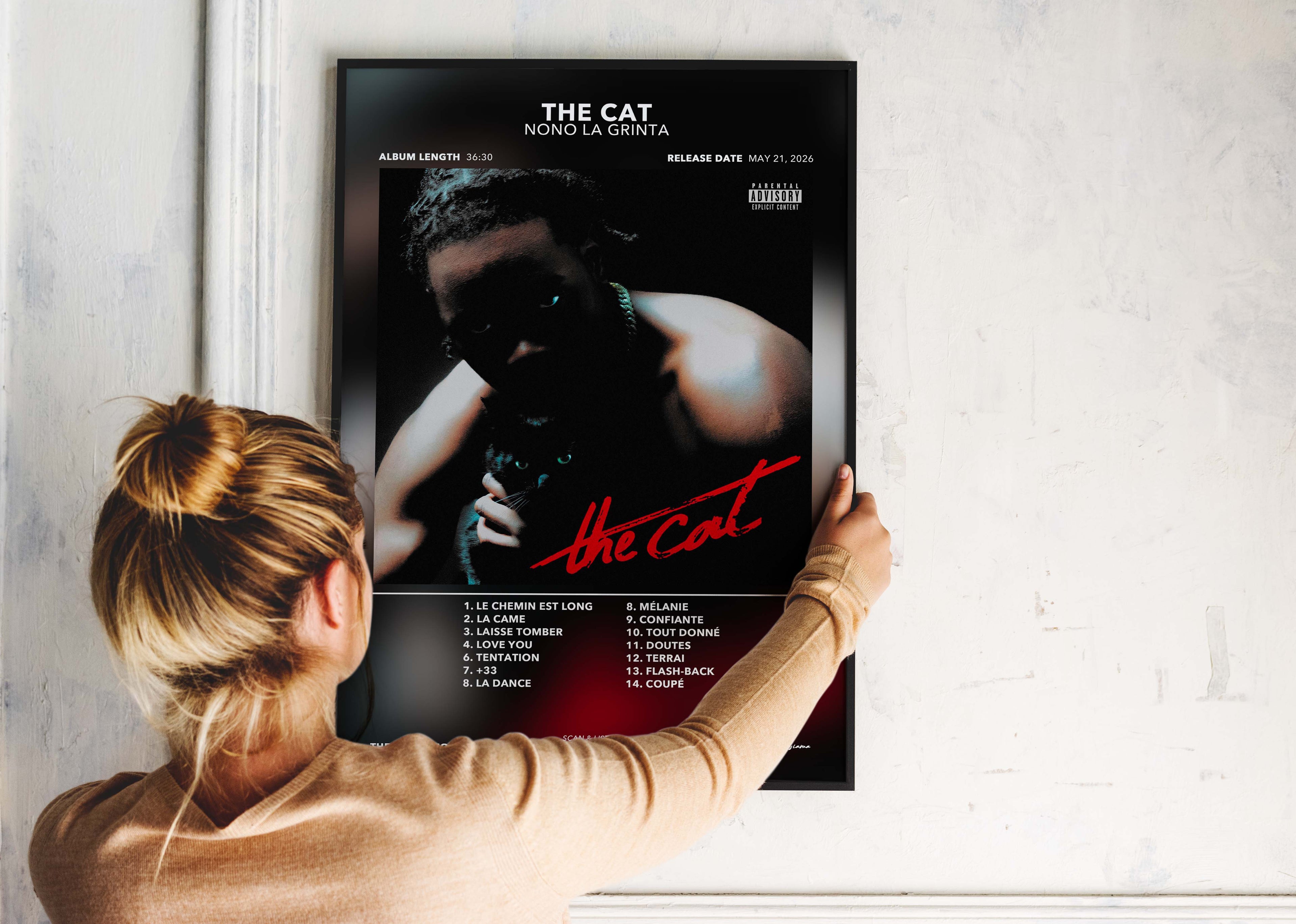 Poster The Cat Nono La Grinta