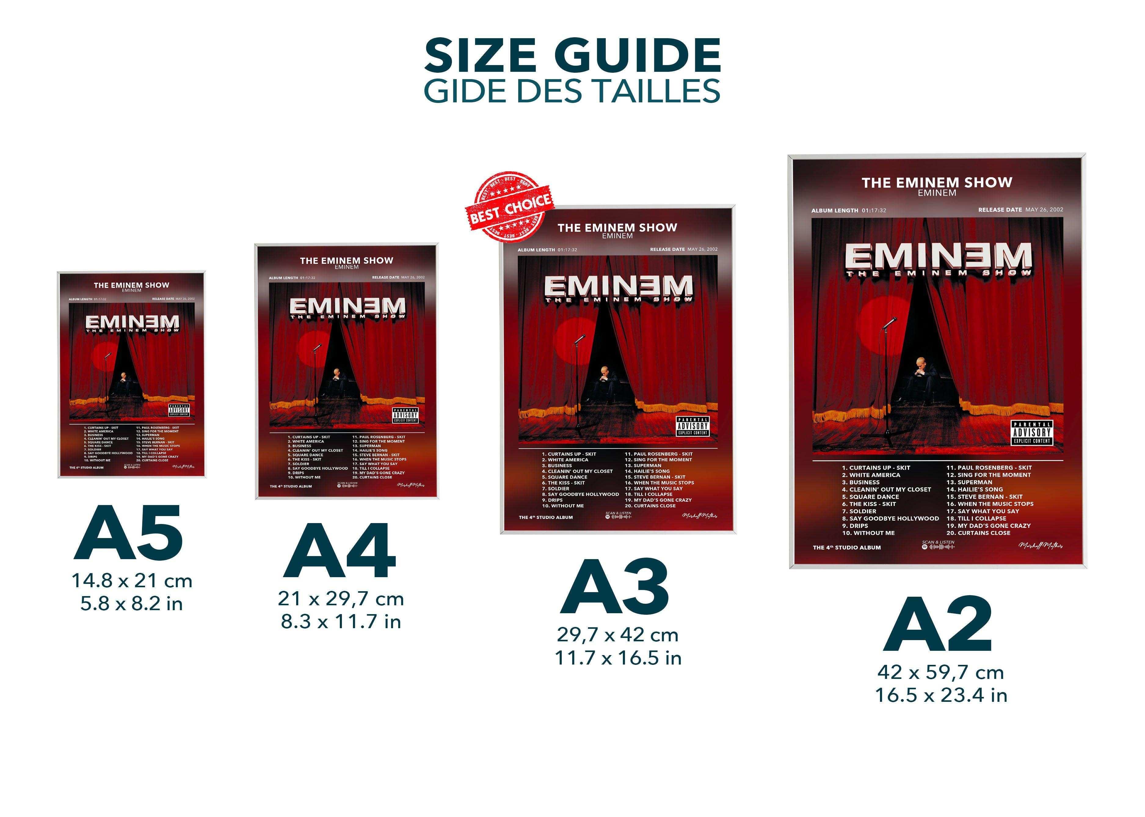 Poster The Eminem Show Eminem - Backyard