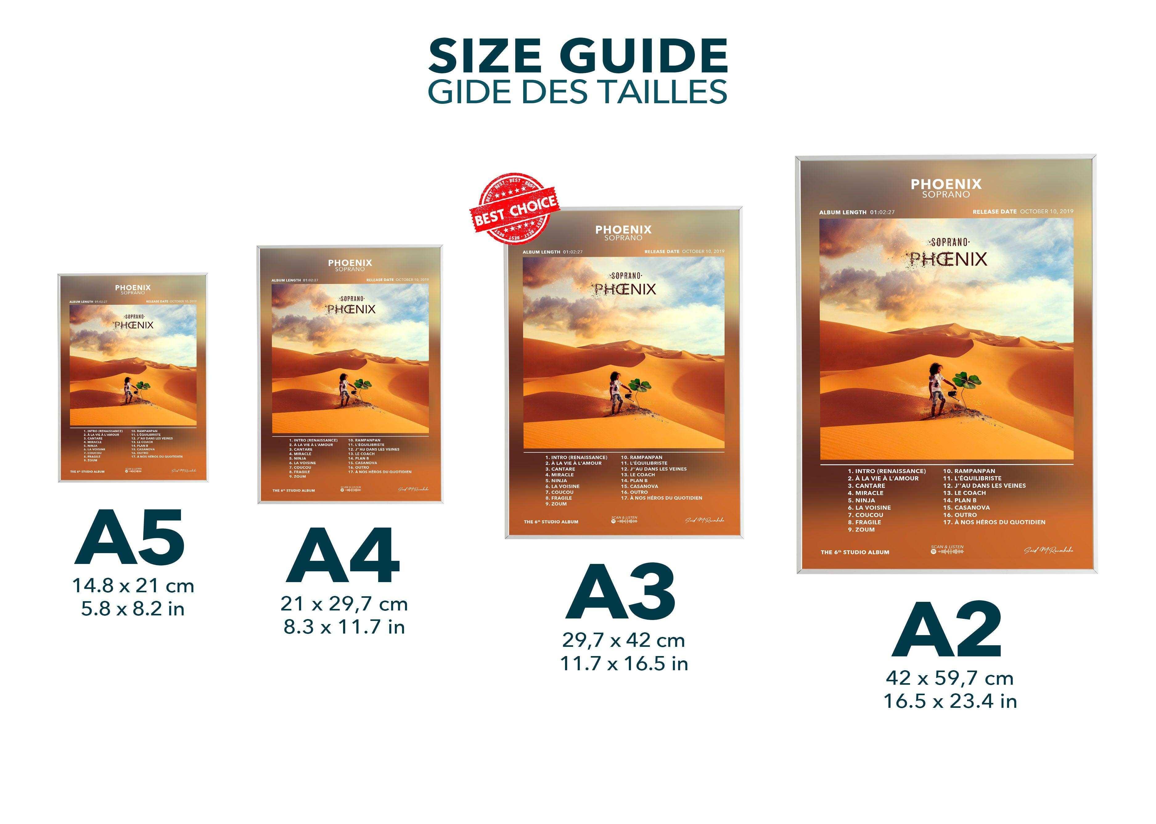 Poster Phoenix Soprano - Backyard