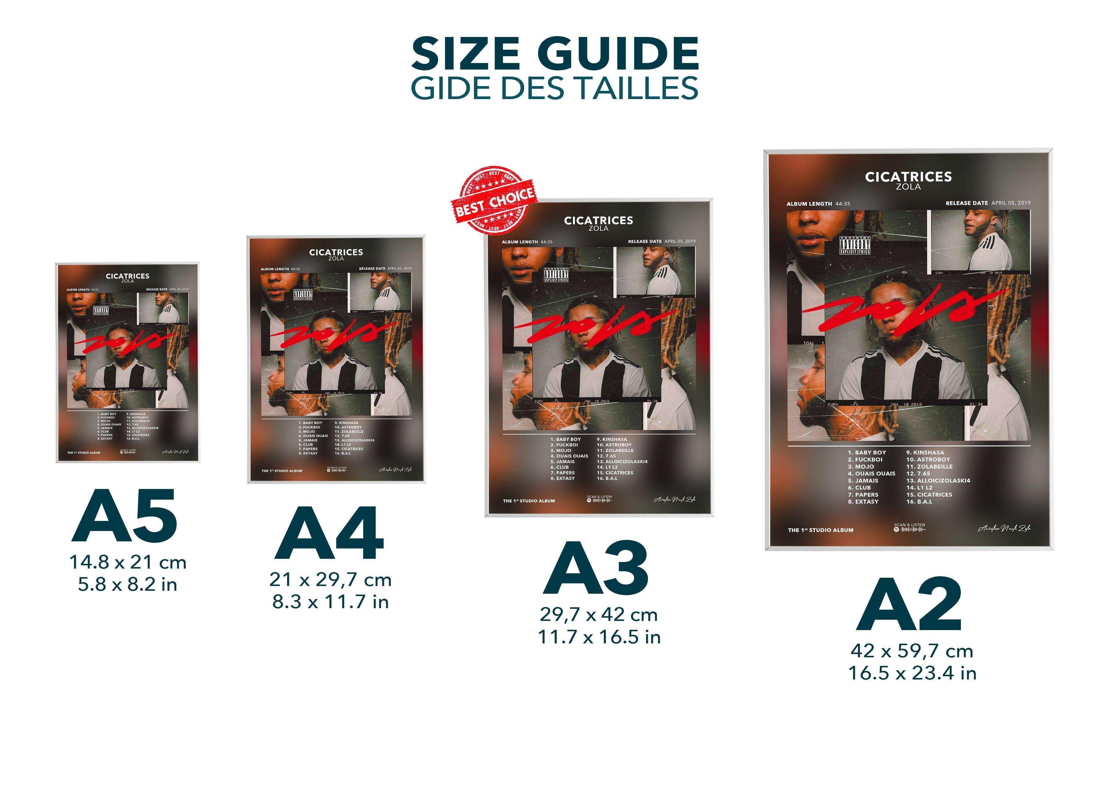 Poster Cicatrices Zola - Backyard