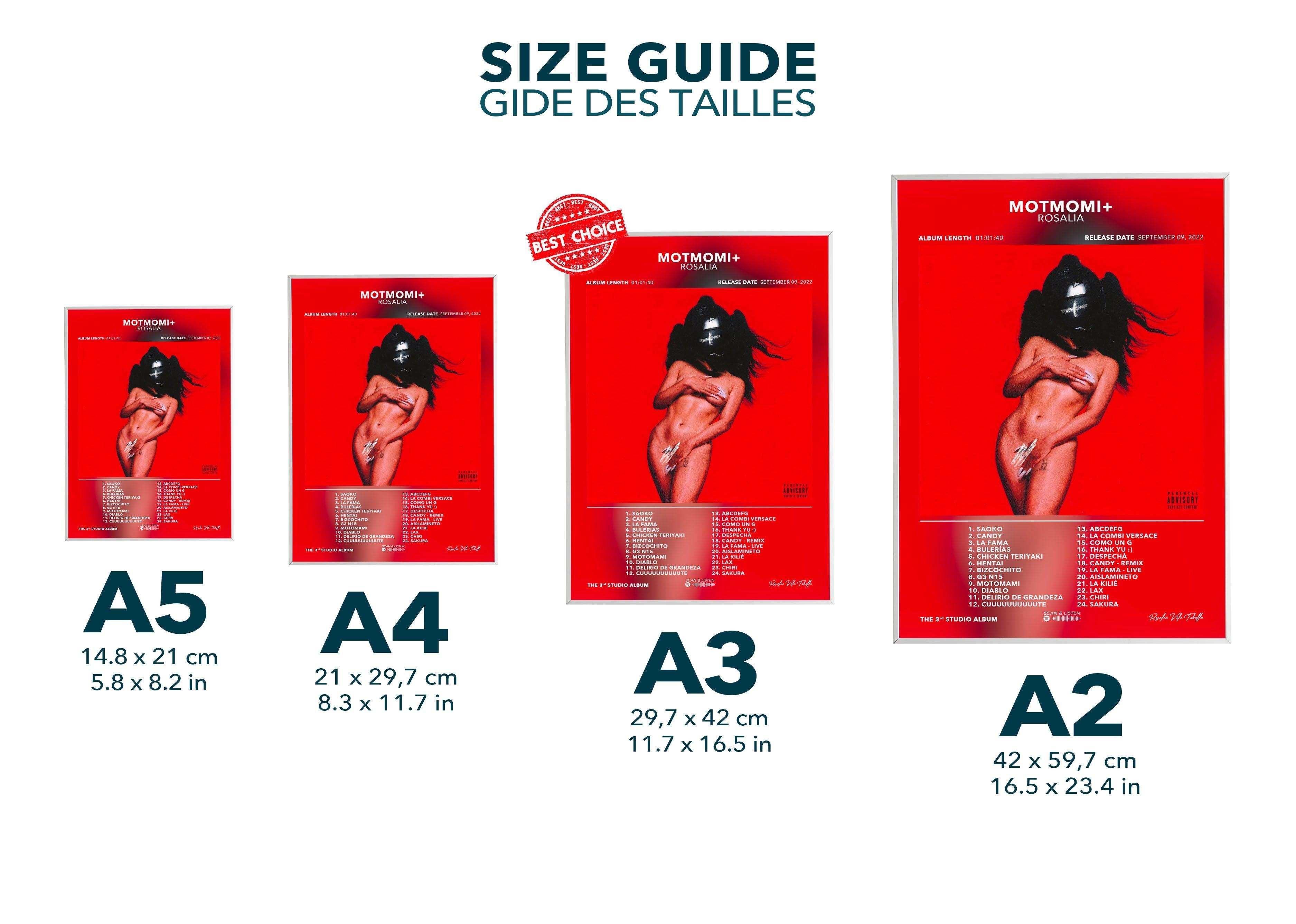 Poster Motomami+ Rosalia - Backyard