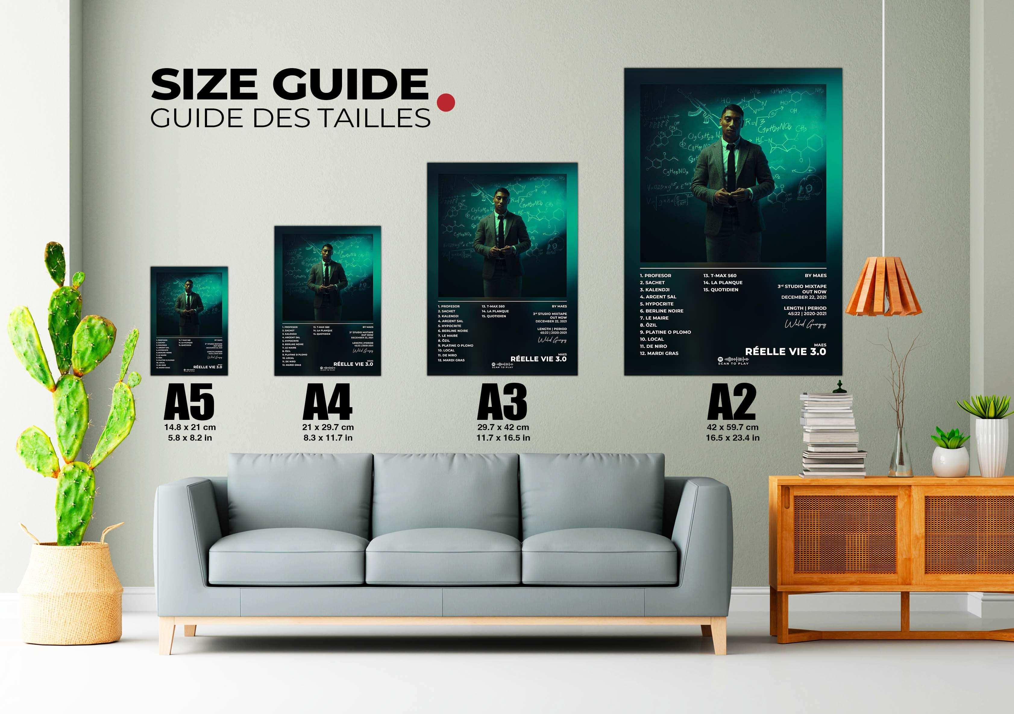 Réelle Vie 3.0 Maes Poster - Backyard