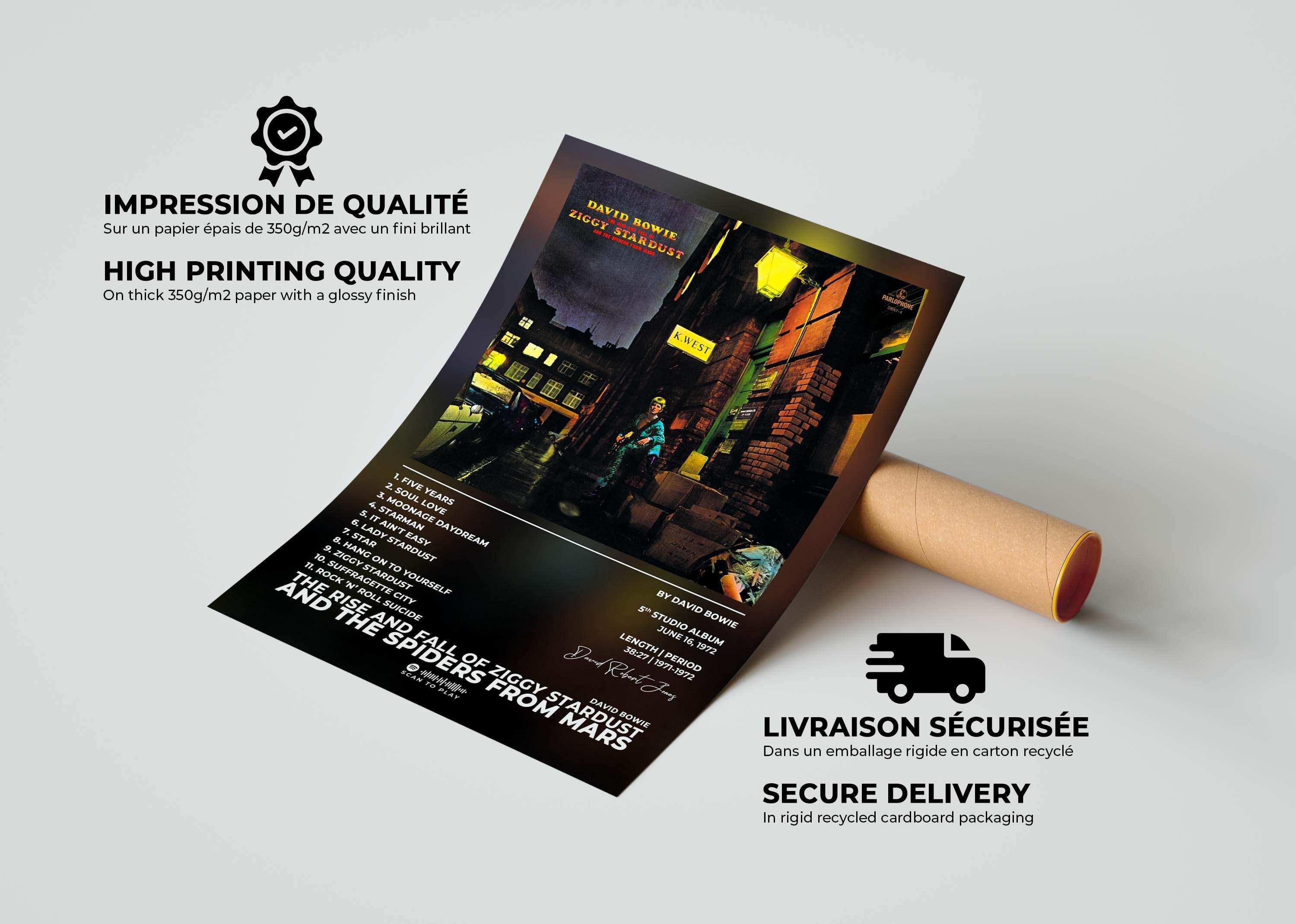 Ziggy Stardust David Bowie Poster - Backyard