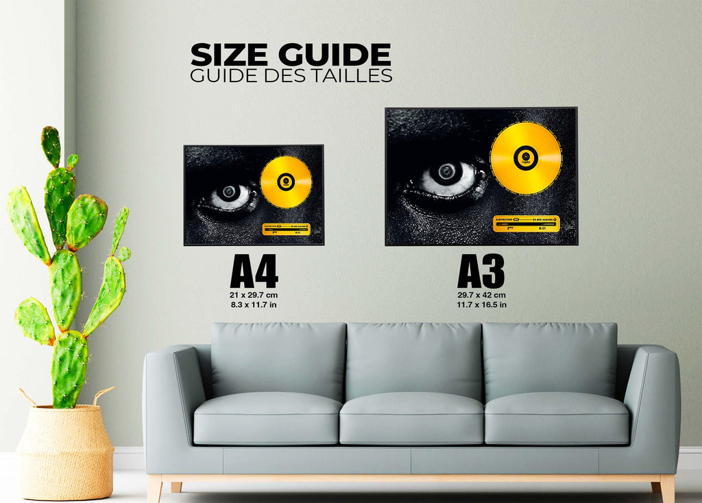 Disque D'Or Lithopédion Damso - Backyard