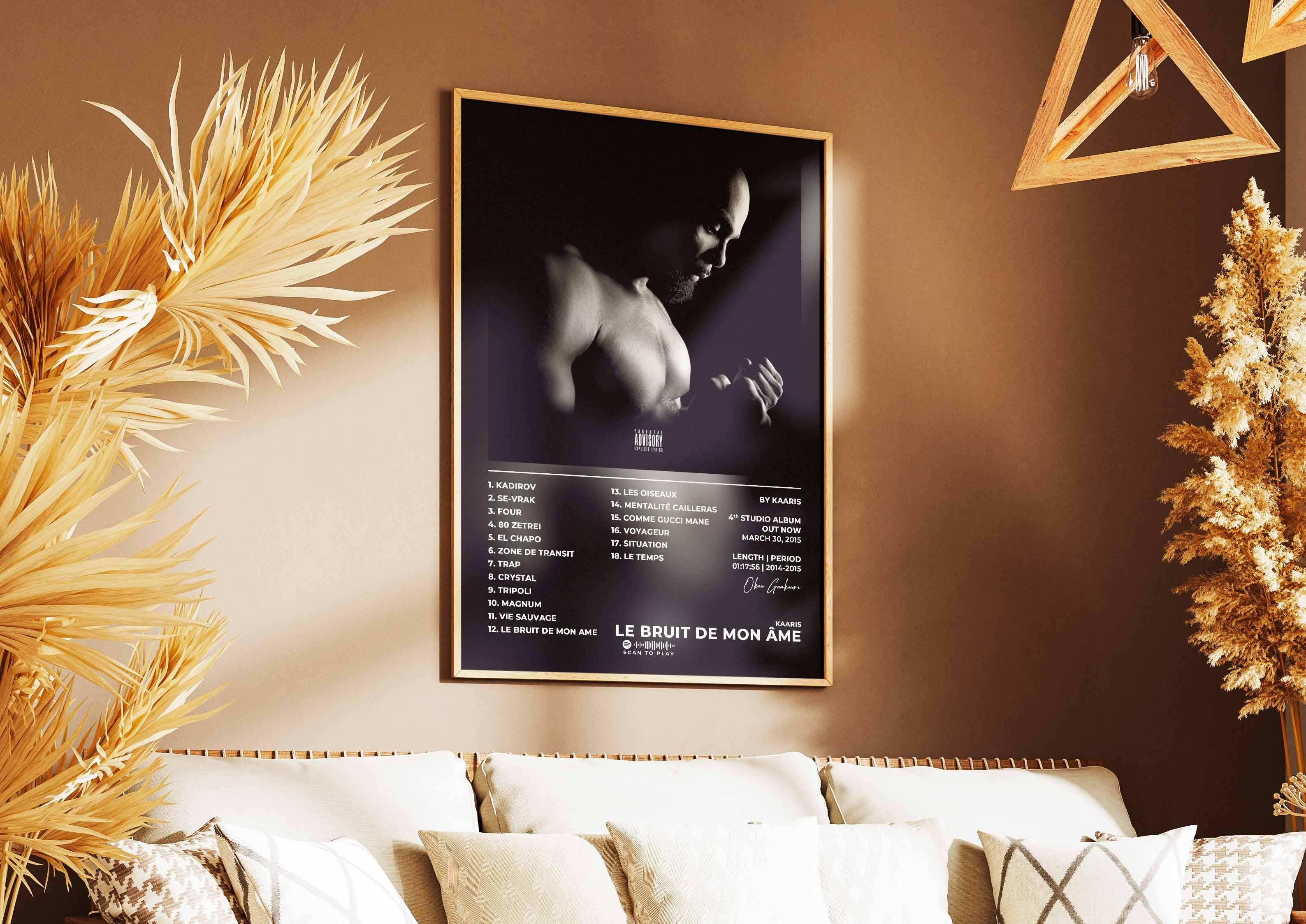 Bruit De Mon Âme Kaaris Poster - Backyard