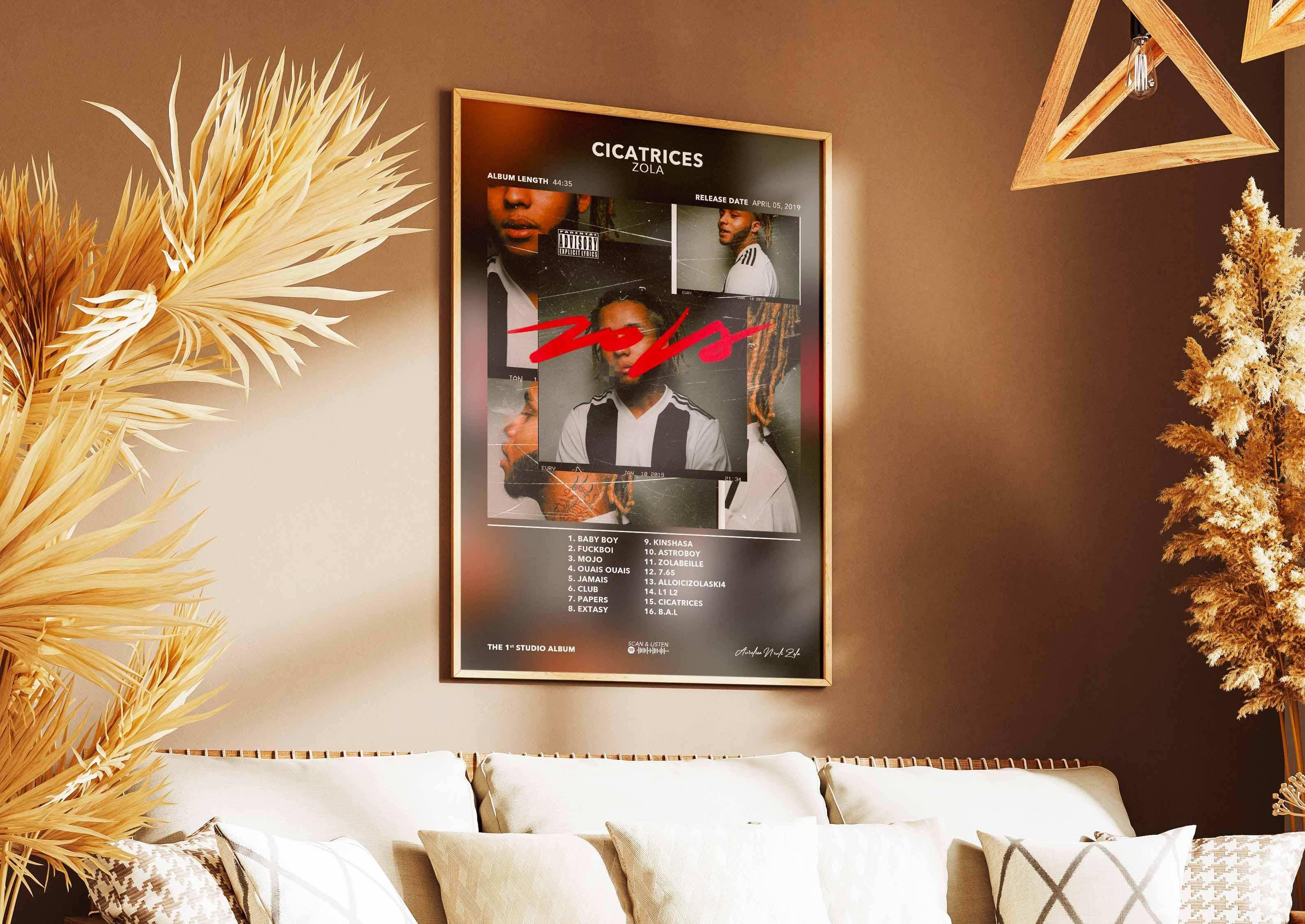 Poster Cicatrices Zola - Backyard