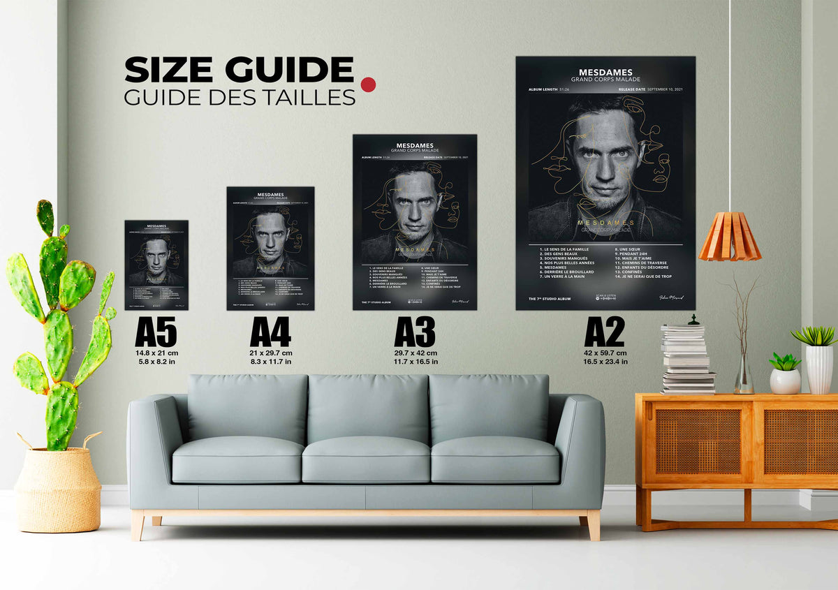 Poster Mesdames Grand Corps Malade