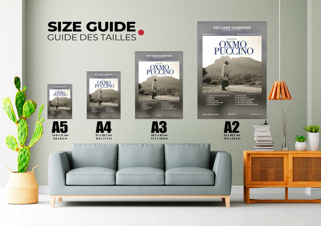 Poster Roi Sans Carrosse Oxmo Puccino