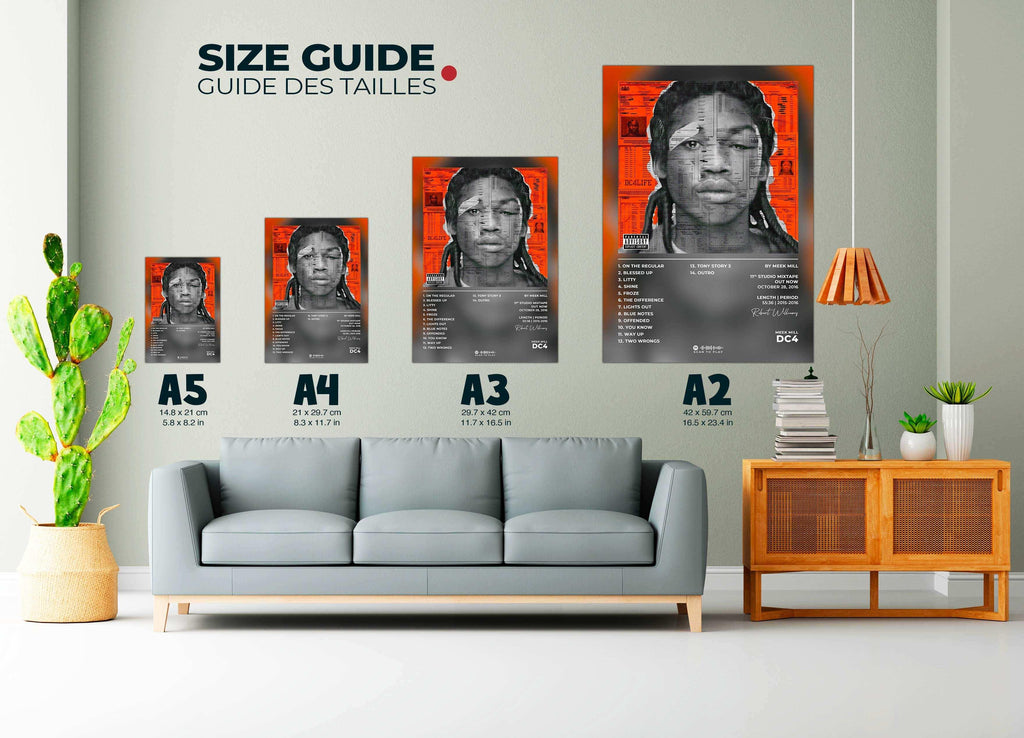 DS4 Meek Mill Poster - Backyard