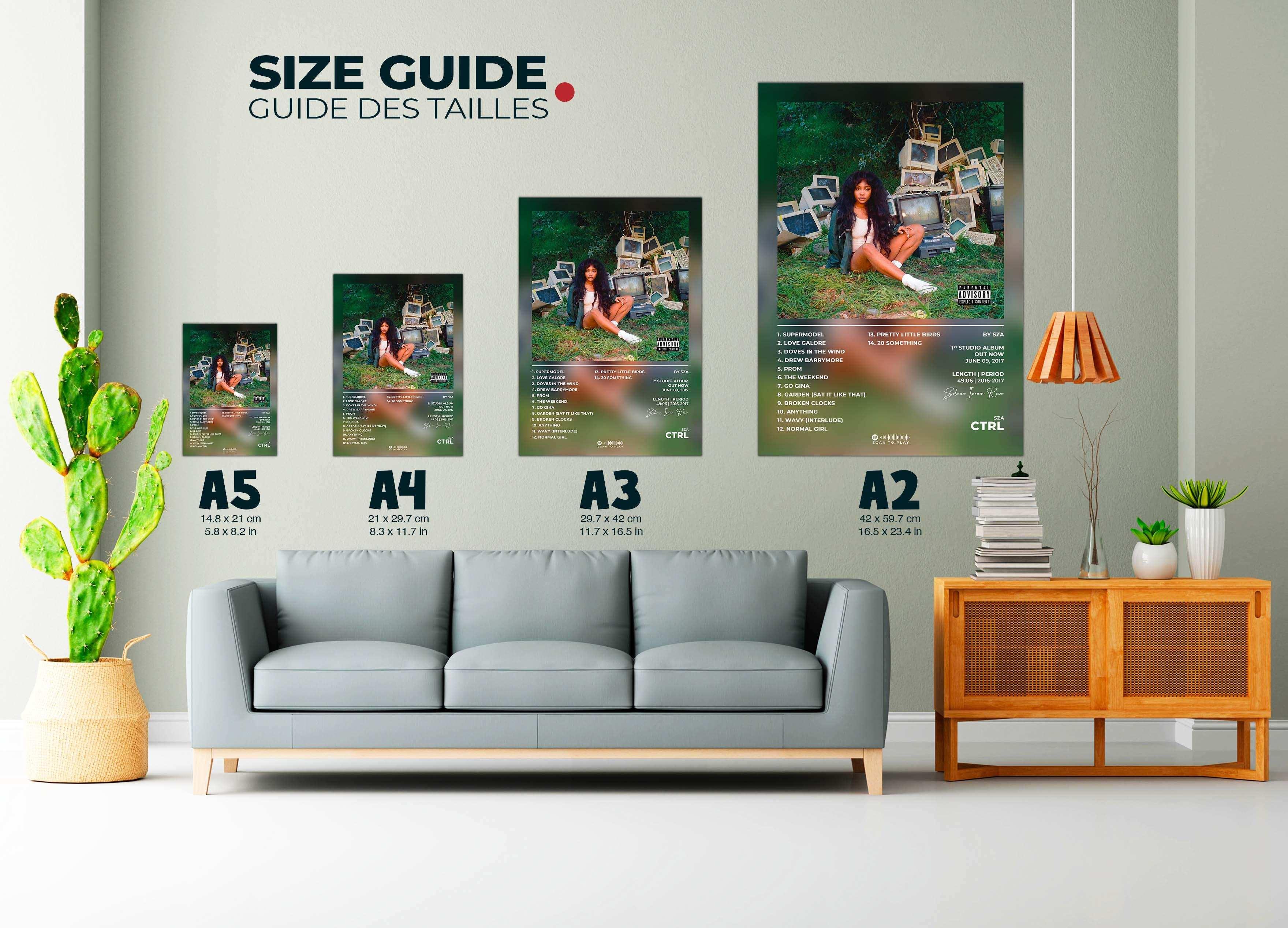 CTRL SZA Poster - Backyard