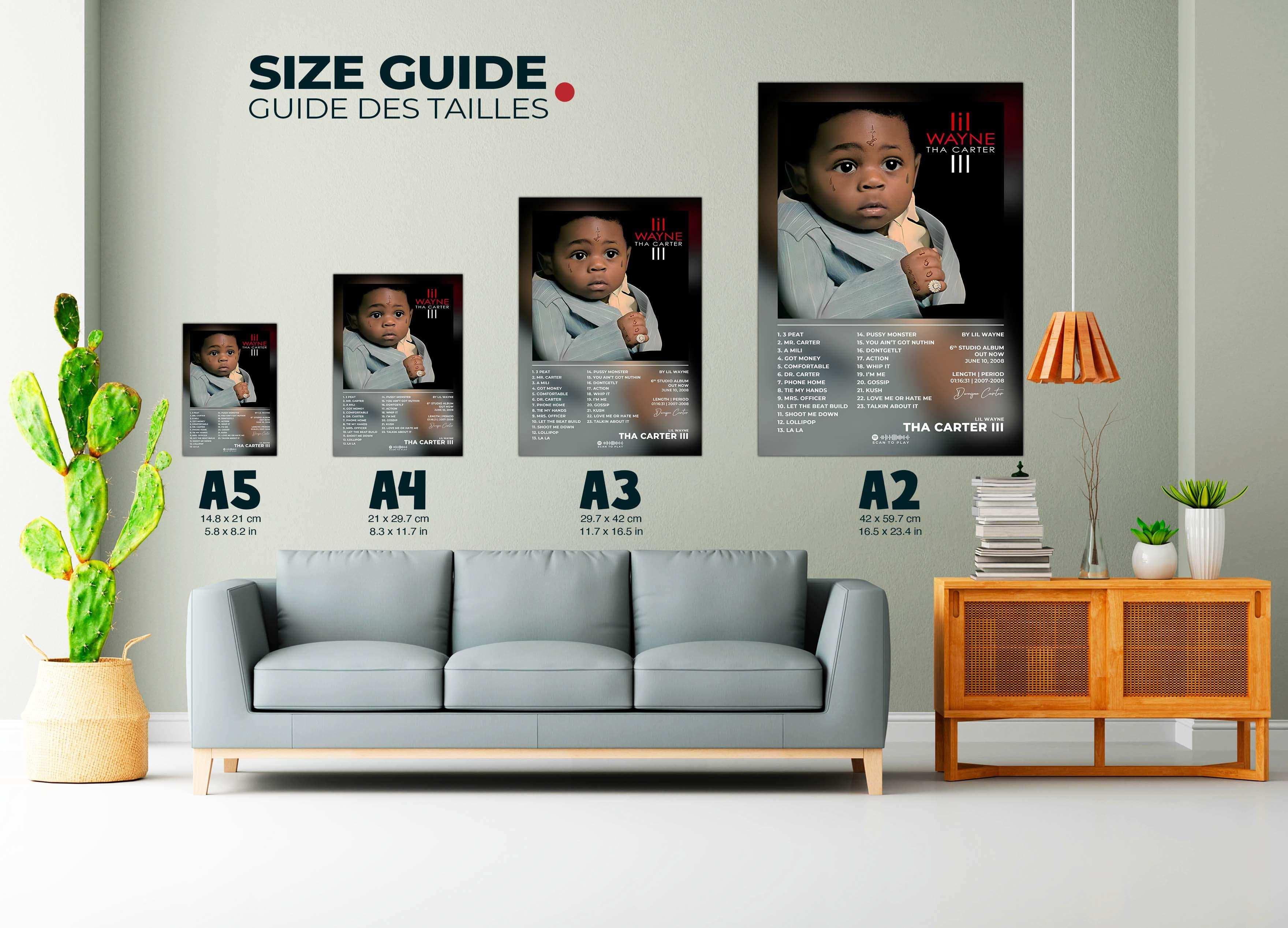 Tha Carter 3 Lil Wayne Poster - Backyard