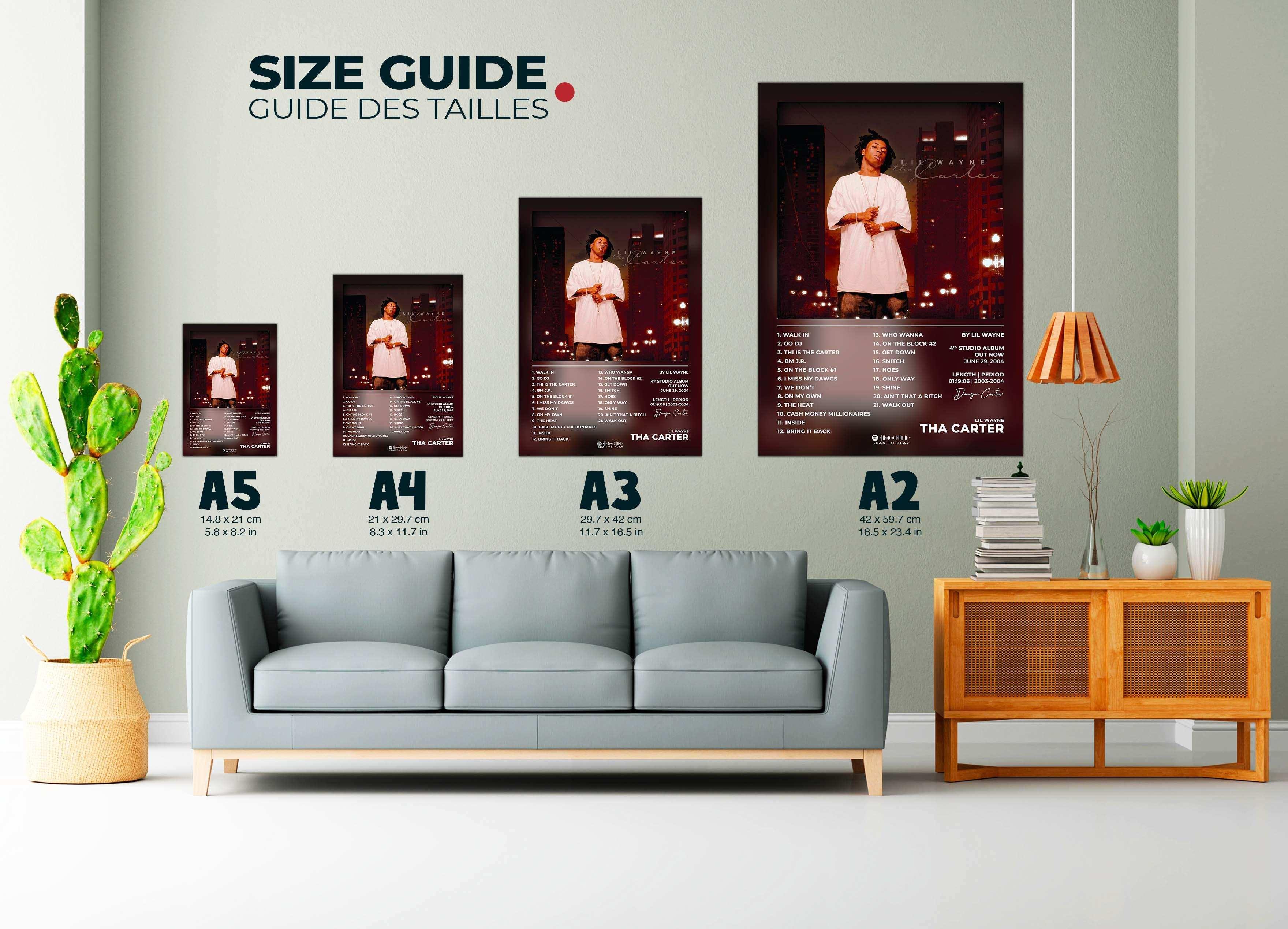 Tha Carter Lil Wayne Poster - Backyard