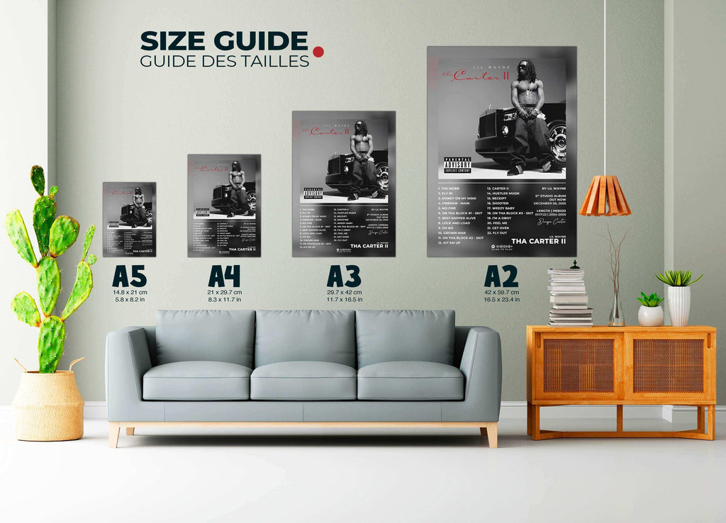 Tha Carter 2 Lil Wayne Poster - Backyard