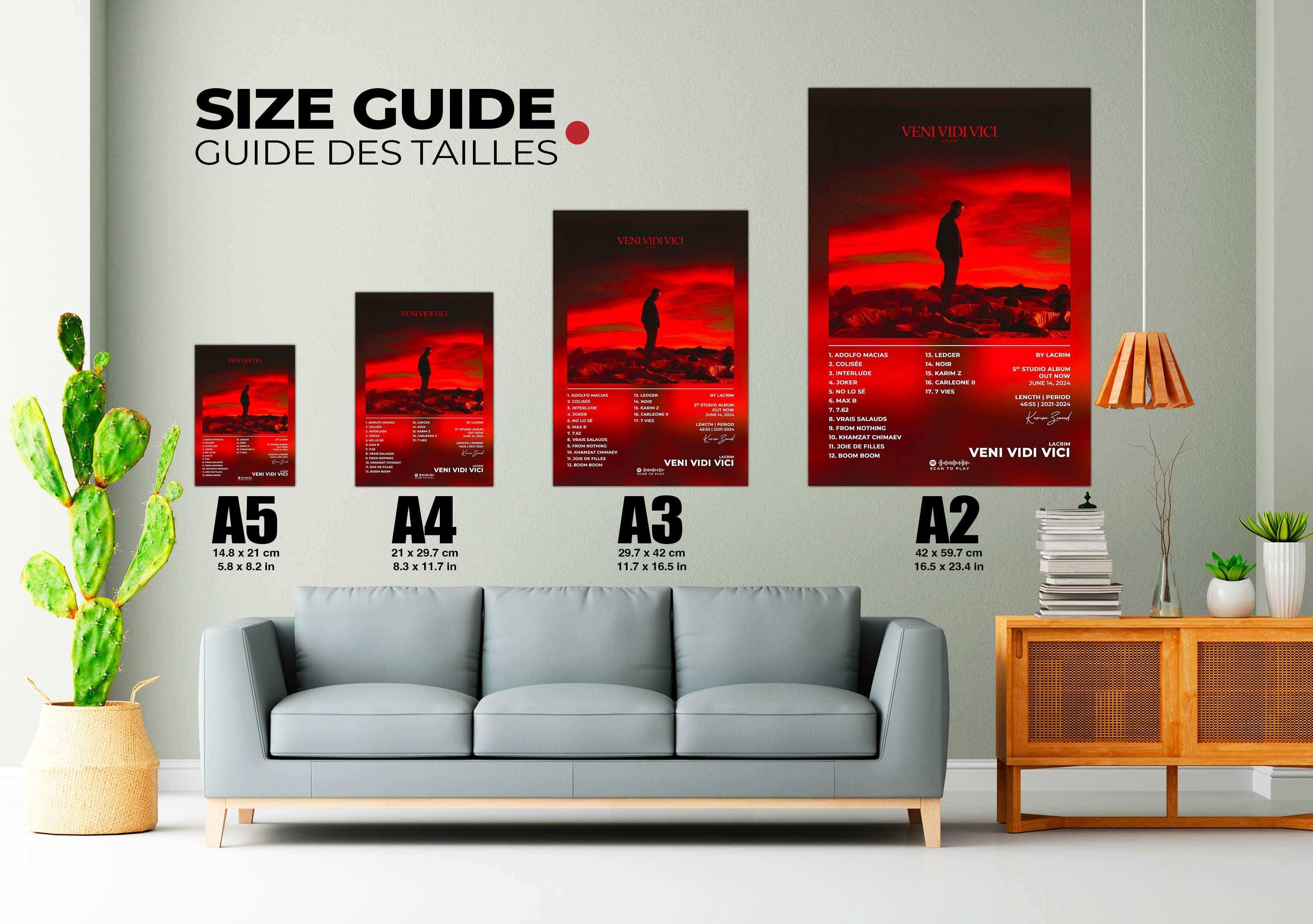 Veni Vidi Vici Lacrim Poster - Backyard