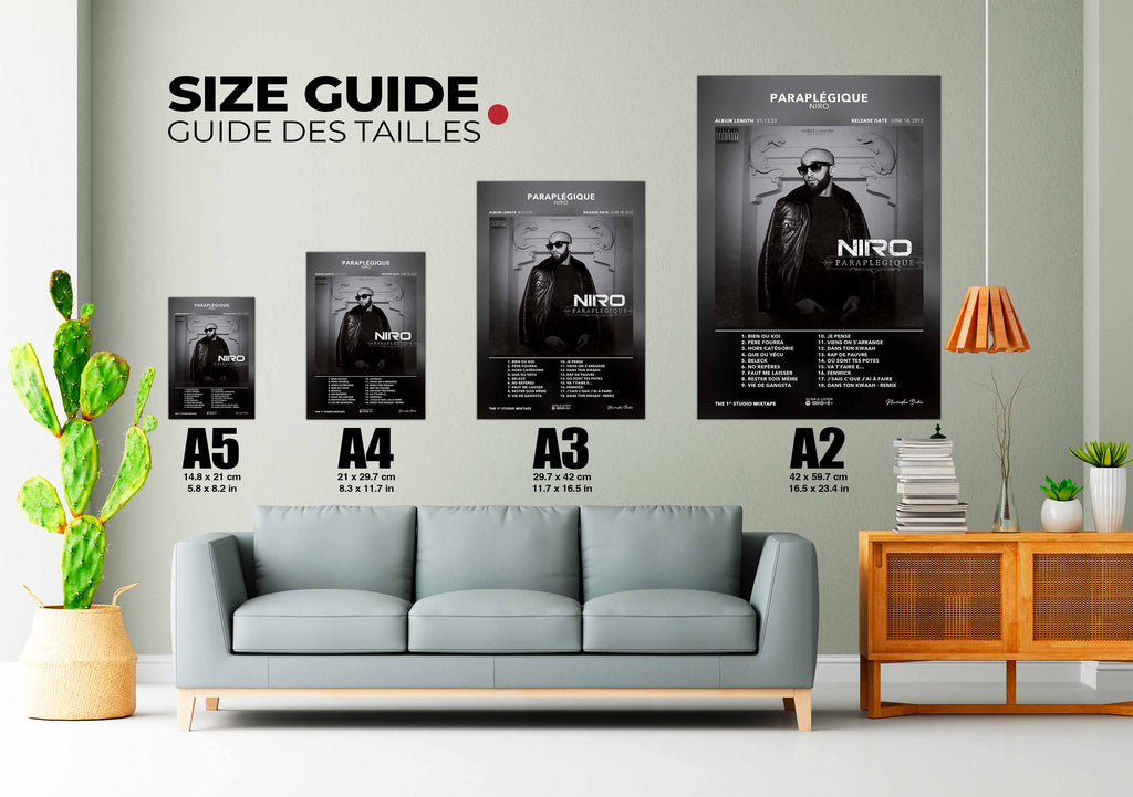 Poster Paraplégique Niro