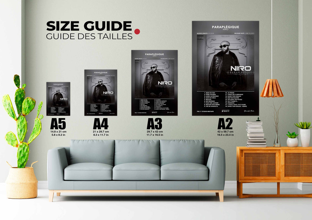 Poster Paraplégique Niro