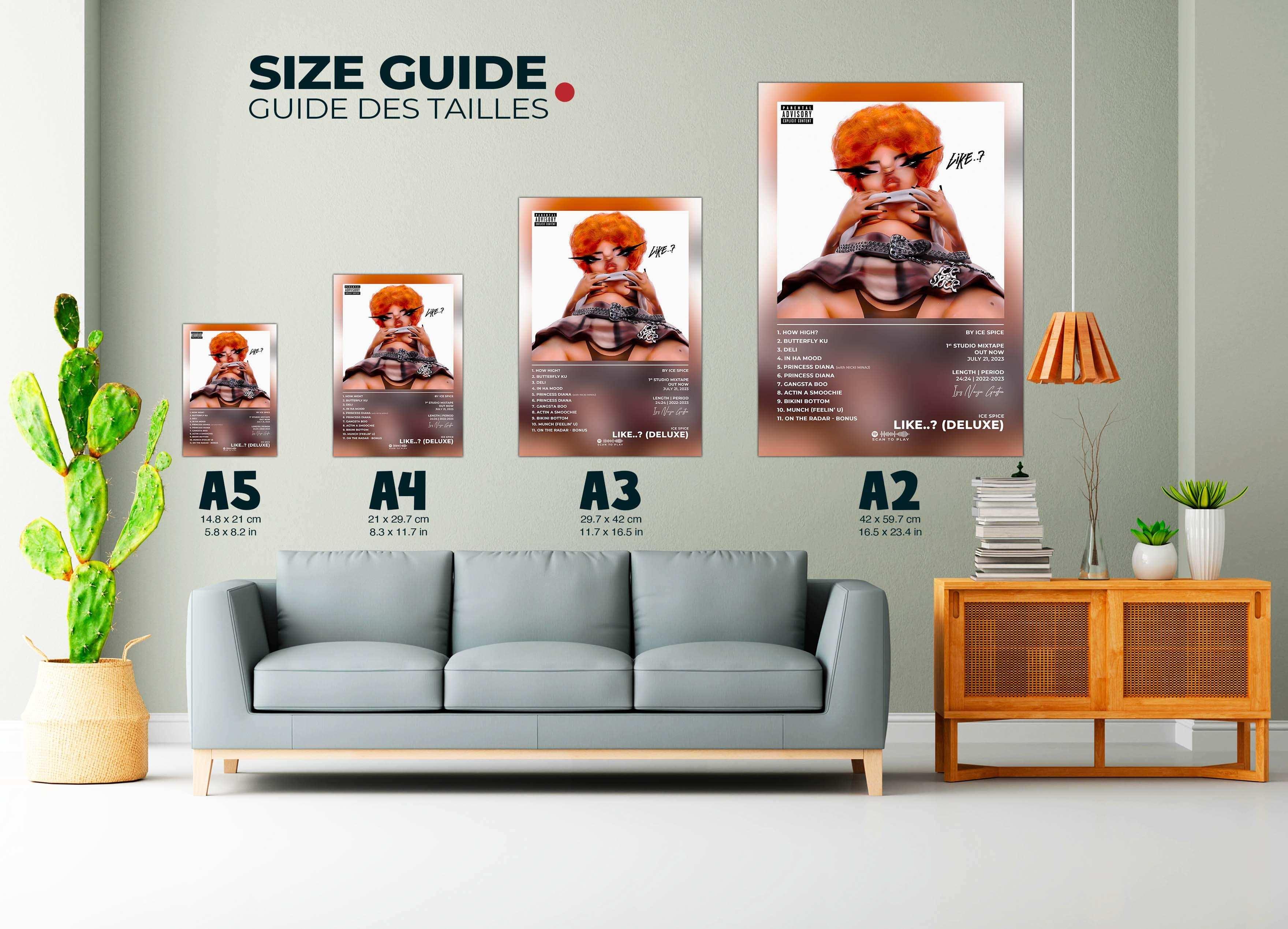 Like ..? Ice Spice Poster - Backyard