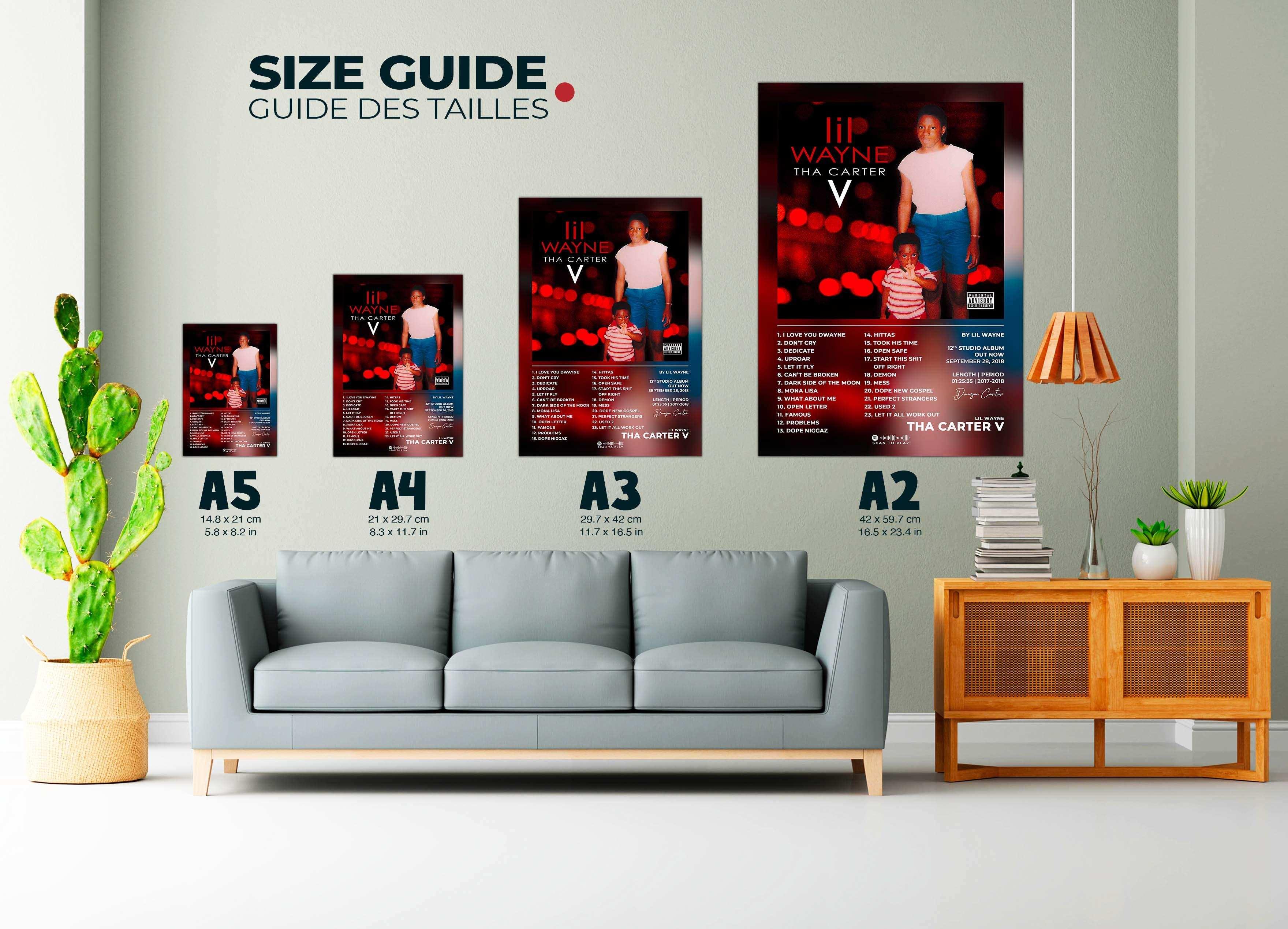 Tha Carter 5 Lil Wayne Poster - Backyard