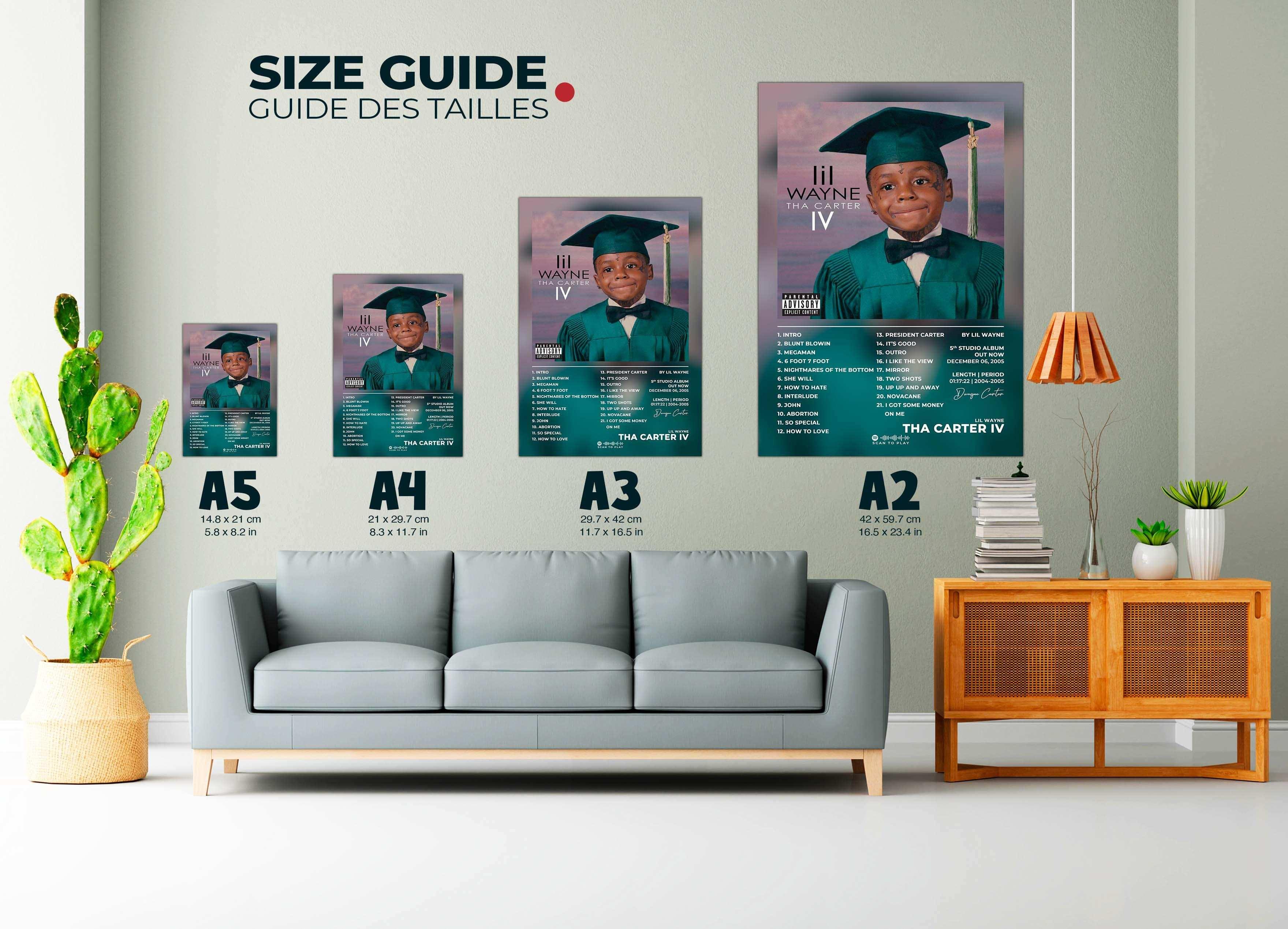 Tha Carter 4 Lil Wayne Poster - Backyard