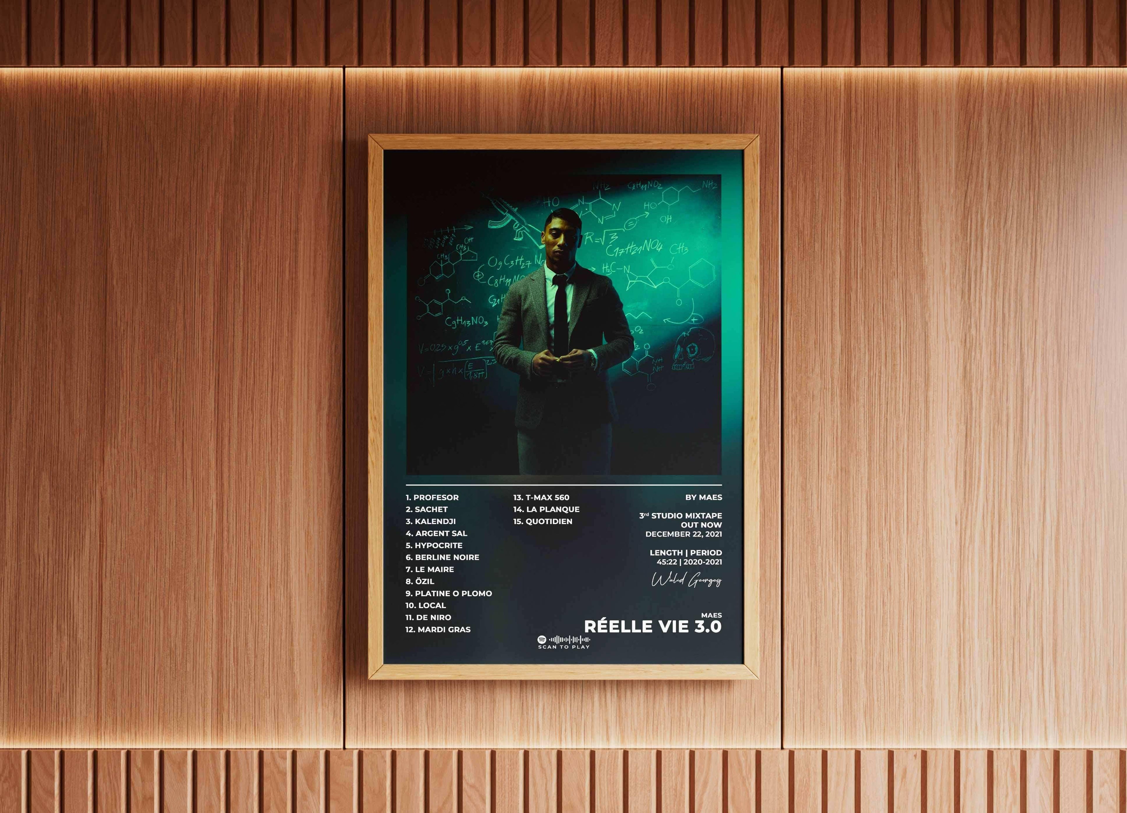 Réelle Vie 3.0 Maes Poster - Backyard