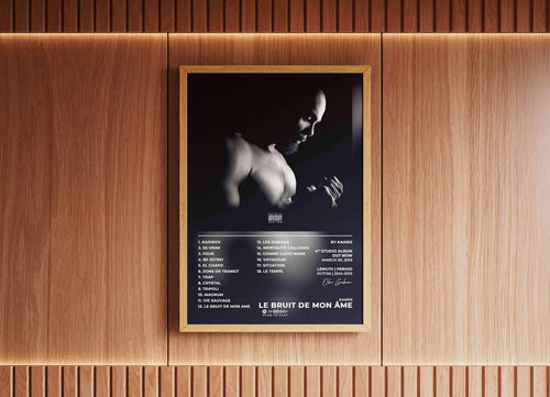 Bruit De Mon Âme Kaaris Poster - Backyard
