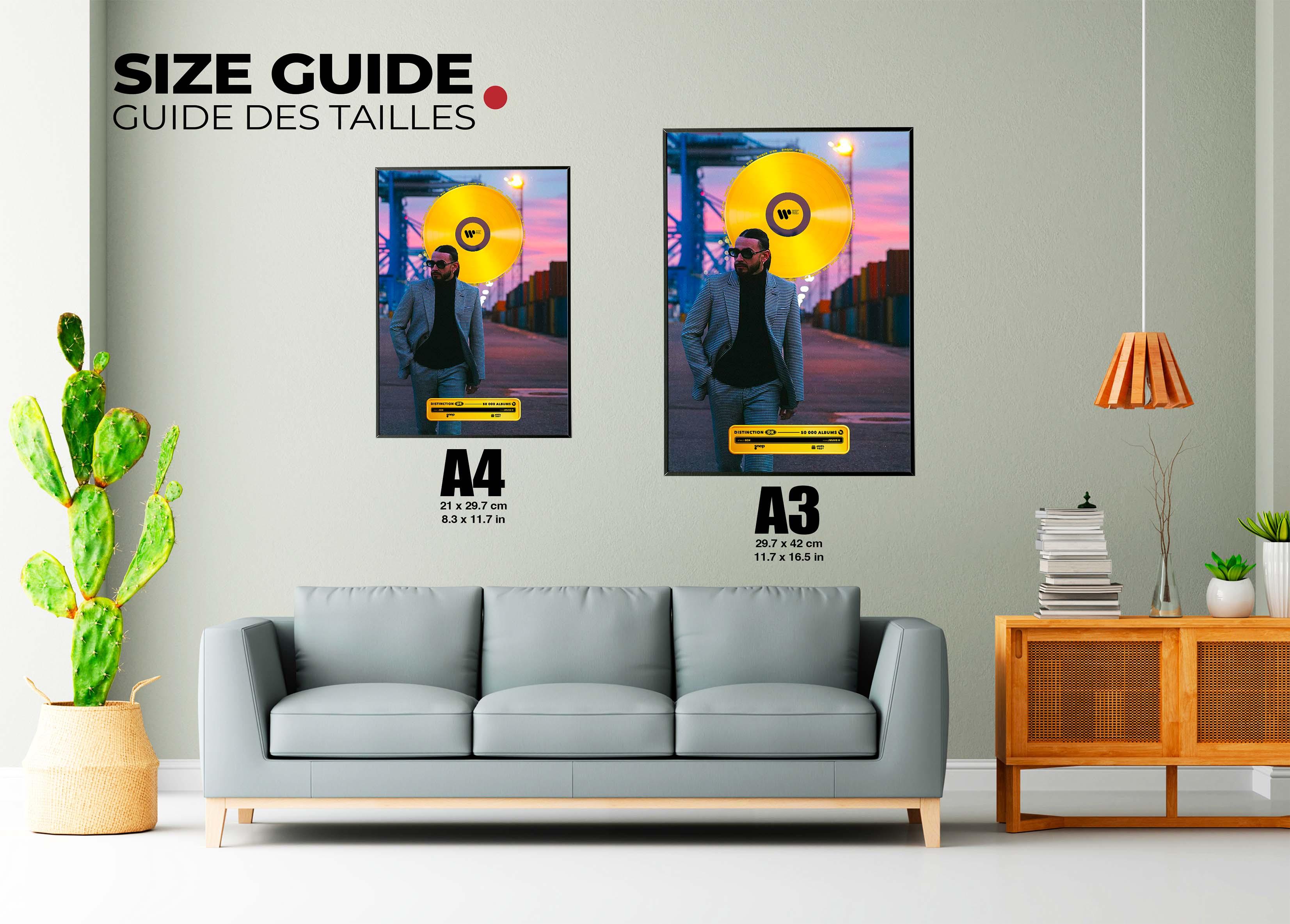 Disque D'Or JVLIVS 2 SCH - Backyard