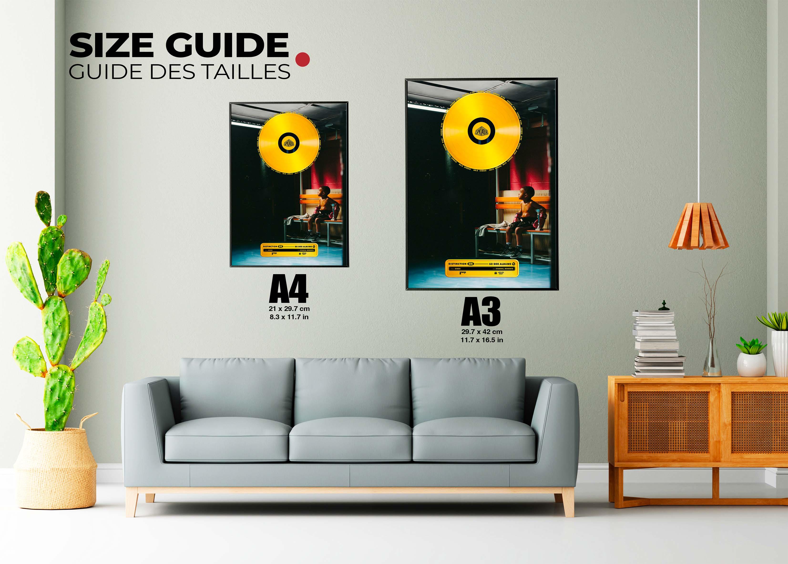 Disque D'Or Stamina Memento Dinos - Backyard