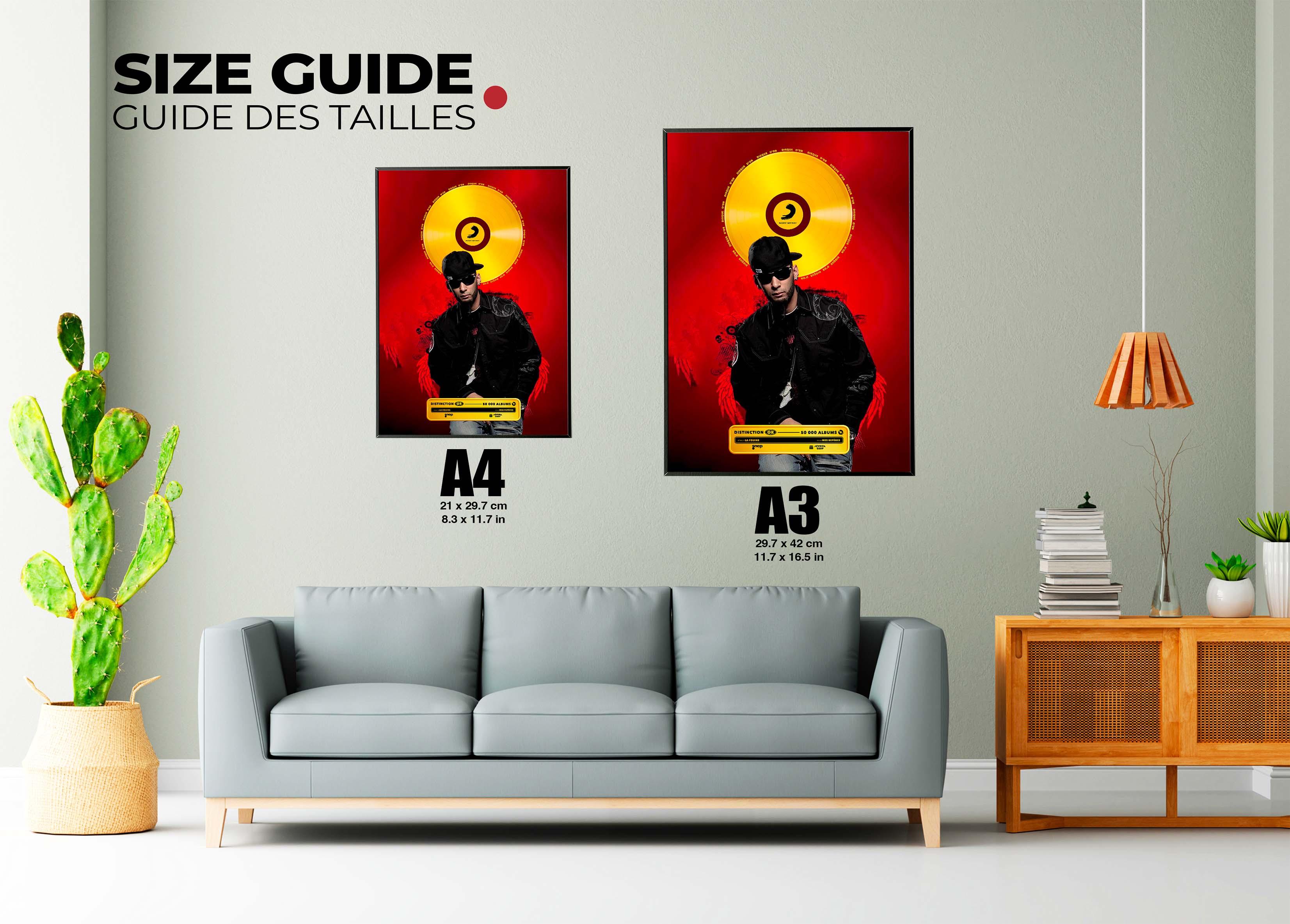 Disque D'or Mes Repères La Fouine - Backyard