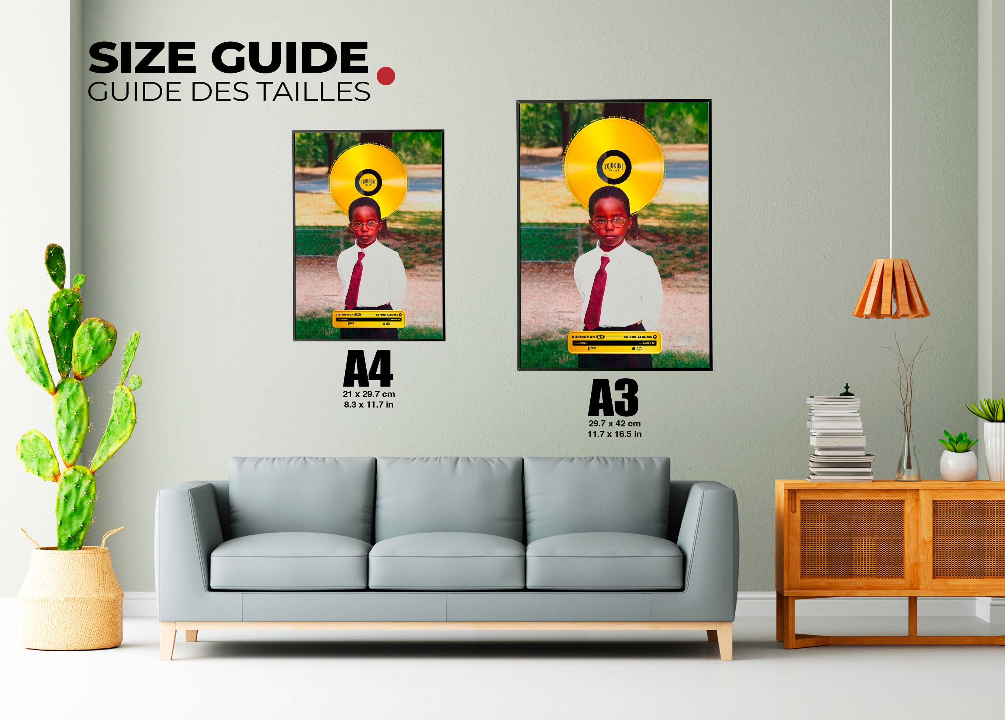 Disque D'or Saison 00 Luidji - Backyard