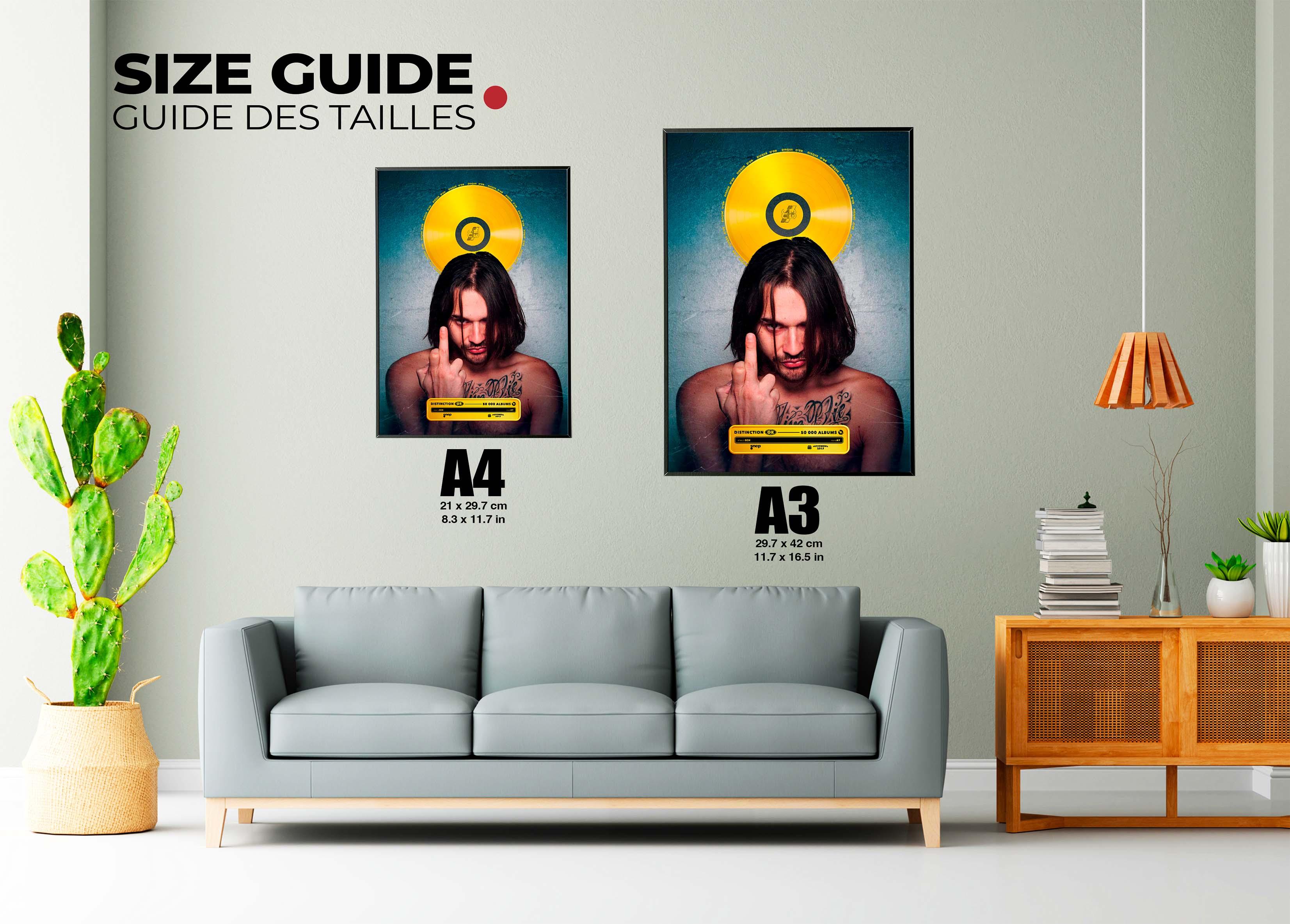 Disque D'Or A7 SCH - Backyard