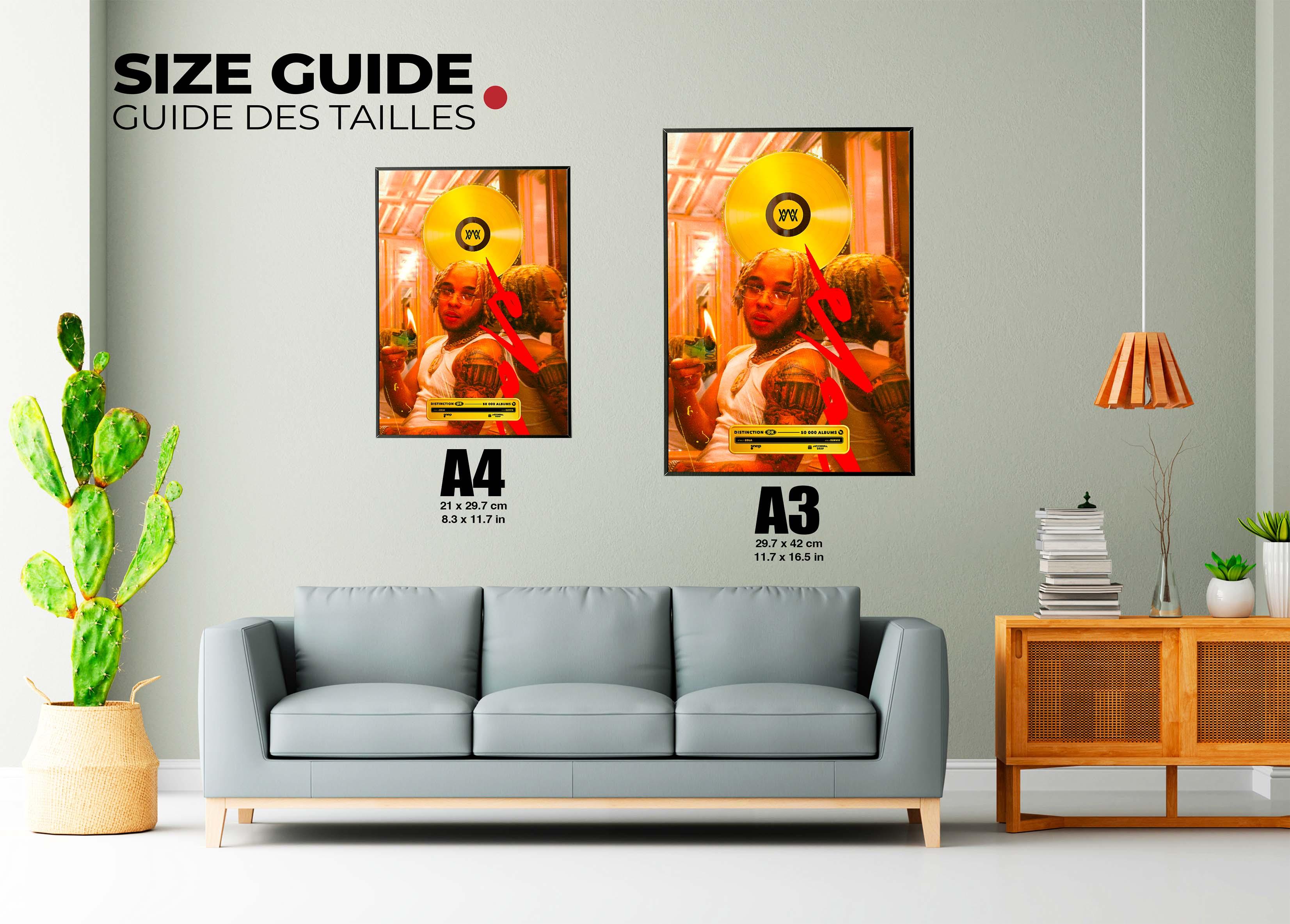 Disque D'or Survie Zola - Backyard