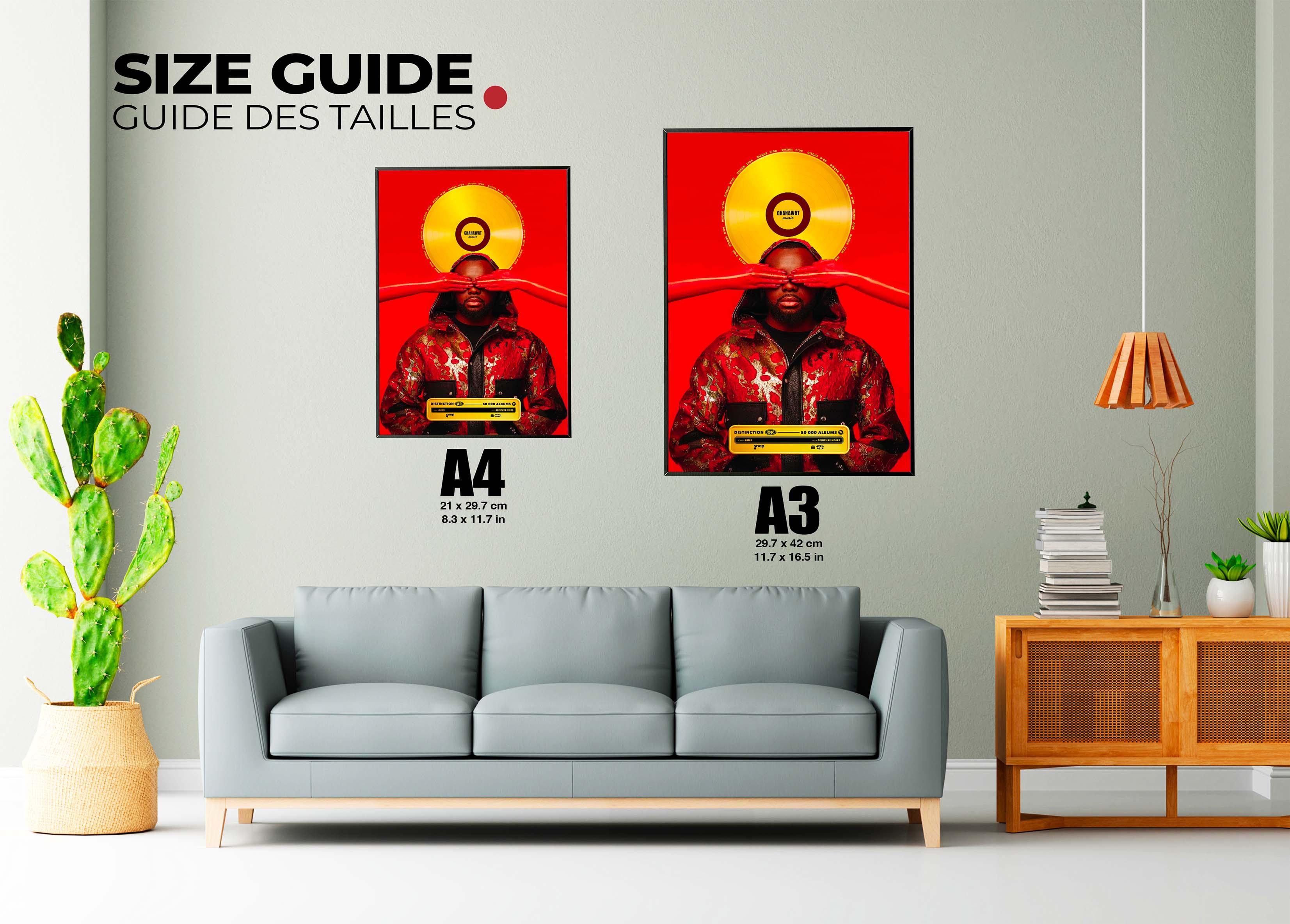 Disque D'or Ceinture Noire Gims - Backyard