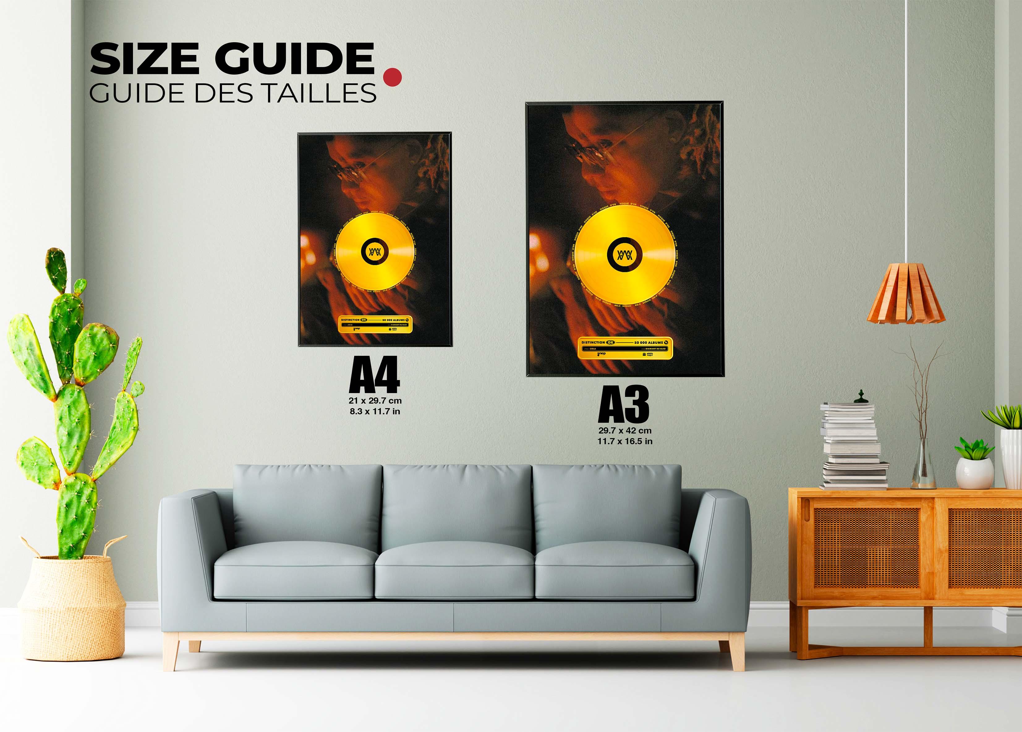 Disque D'Or Diamant Du Bled Zola - Backyard