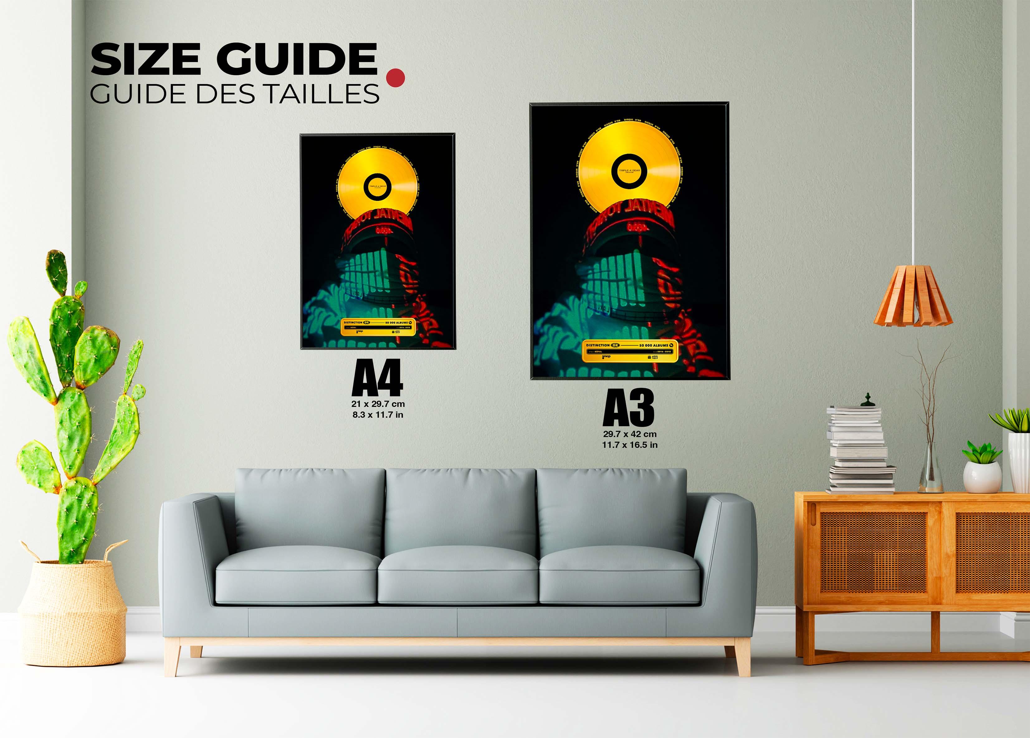 Disque D'or 2016 2018 Népal - Backyard