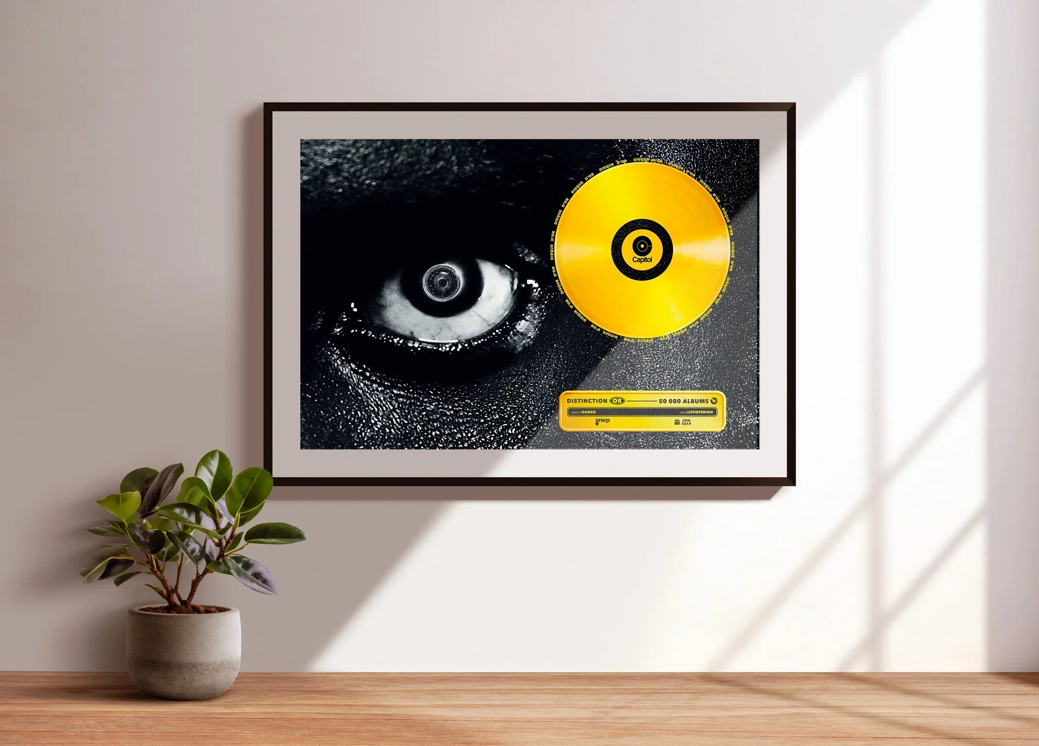 Disque D'Or Lithopédion Damso - Backyard