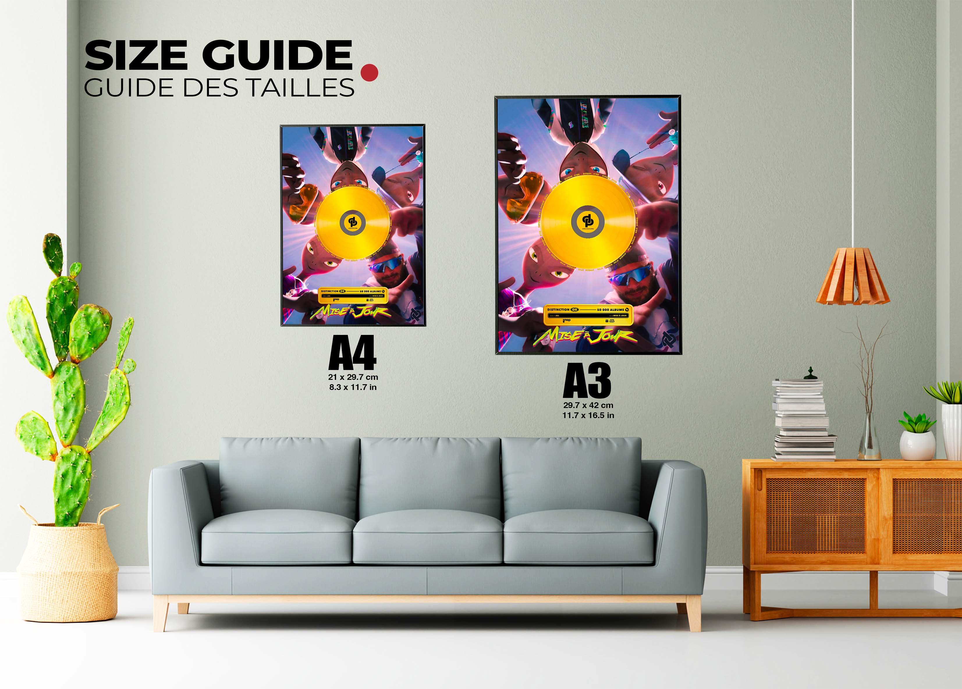 Disque D'Or Mise À Jour JUL - Backyard