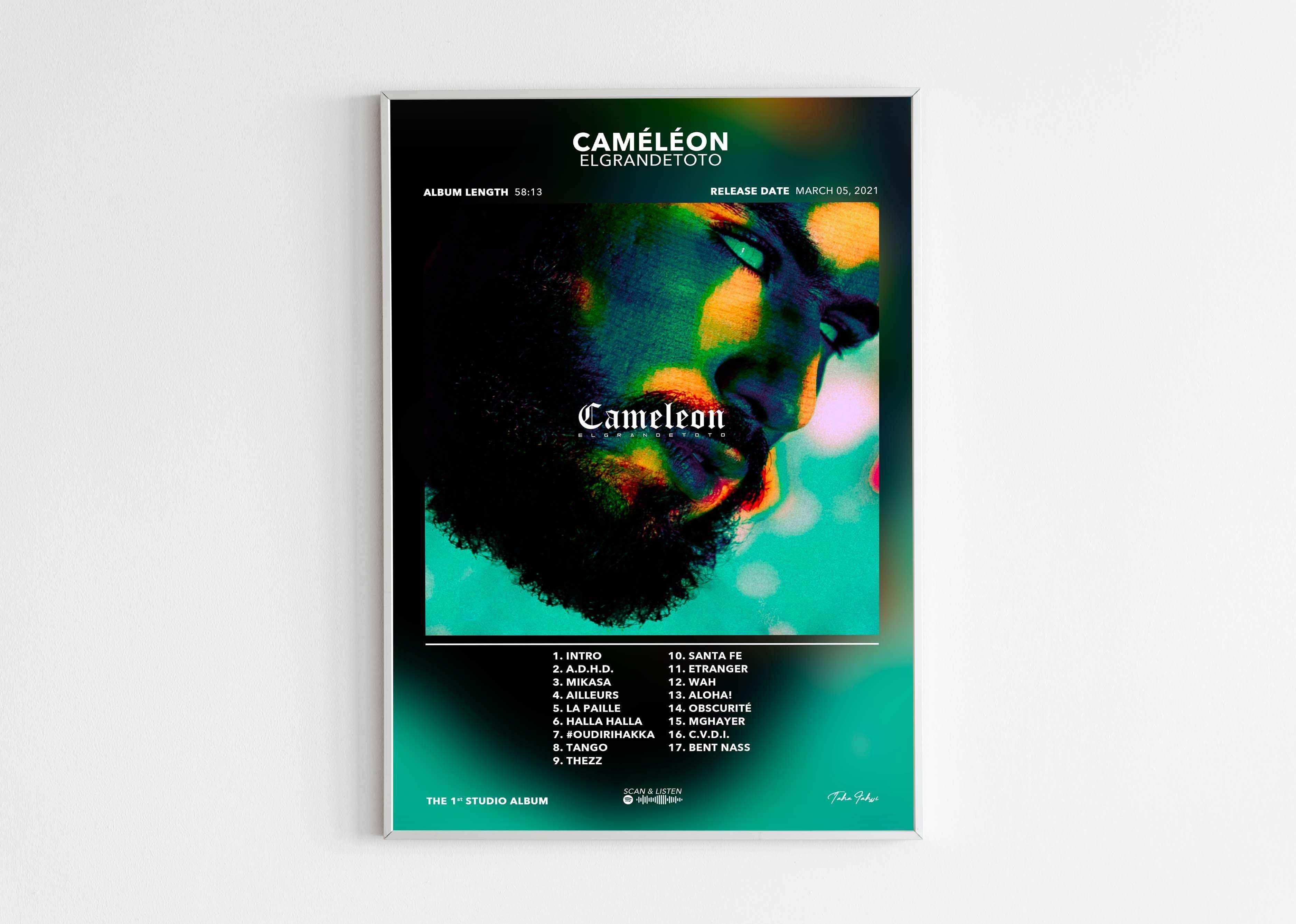 Poster Caméléon ElGrandeToto - Backyard