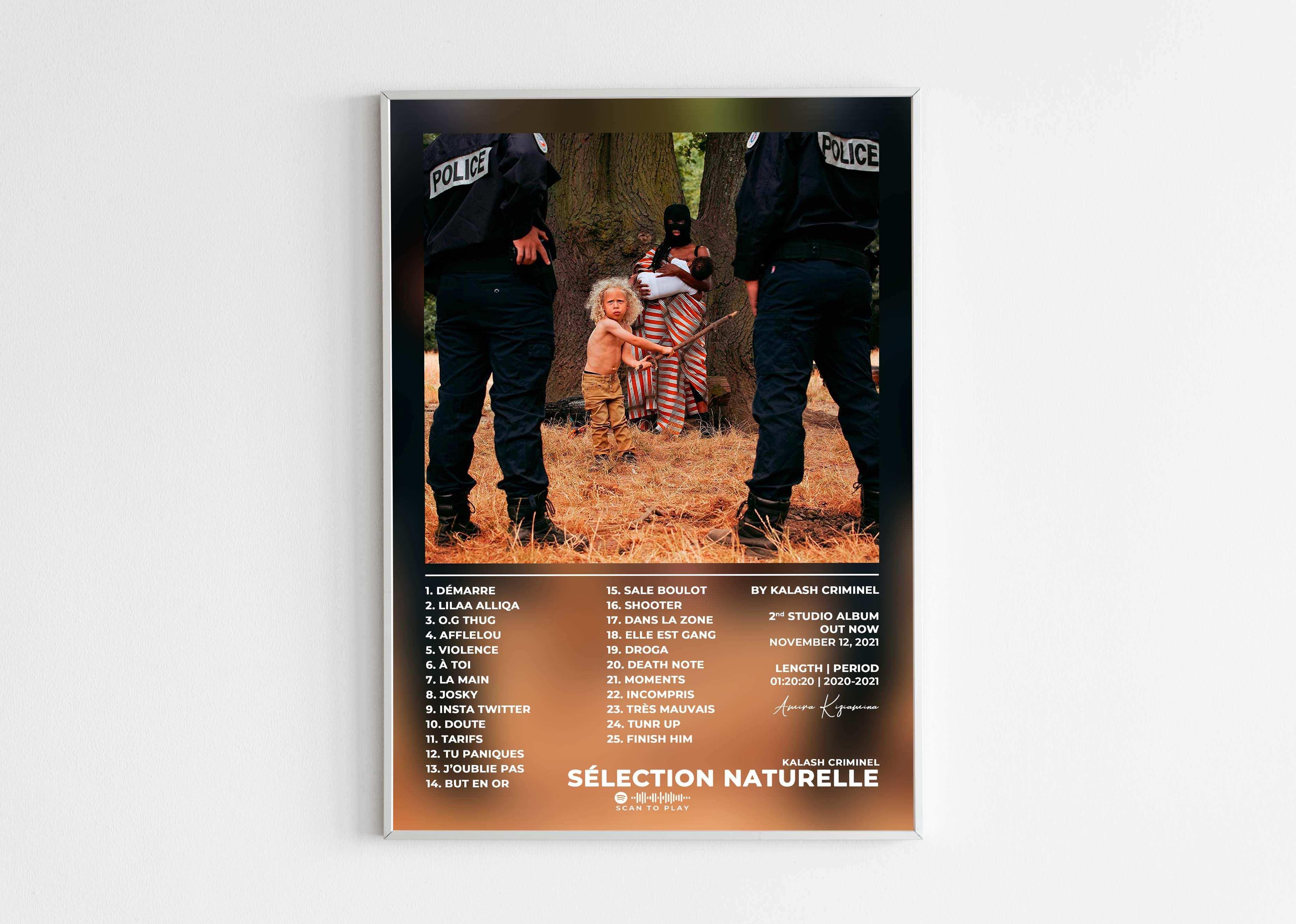 Sélection Naturelle Kalash Criminel Poster - Backyard